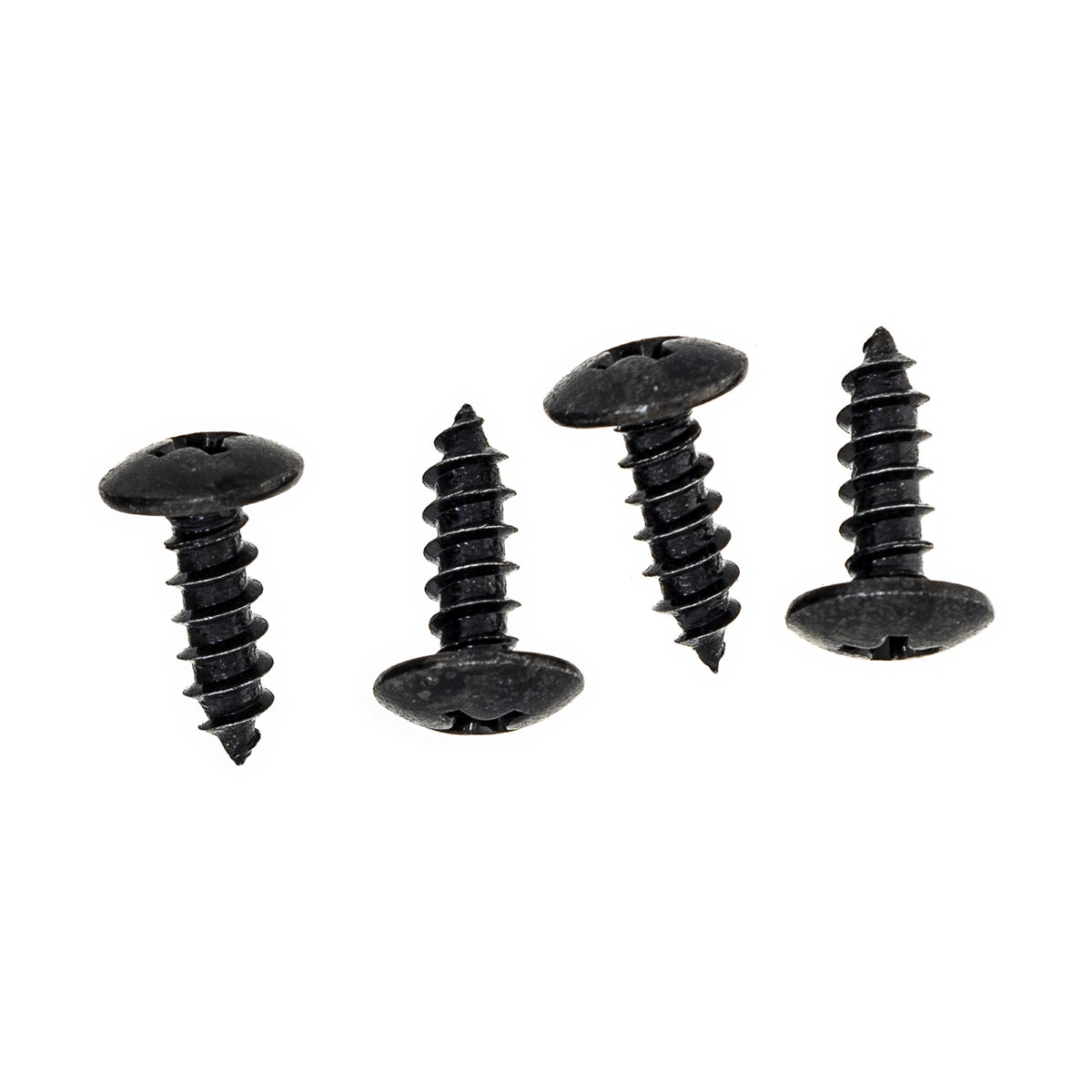 Polaris Body Tapping Screw 0450676