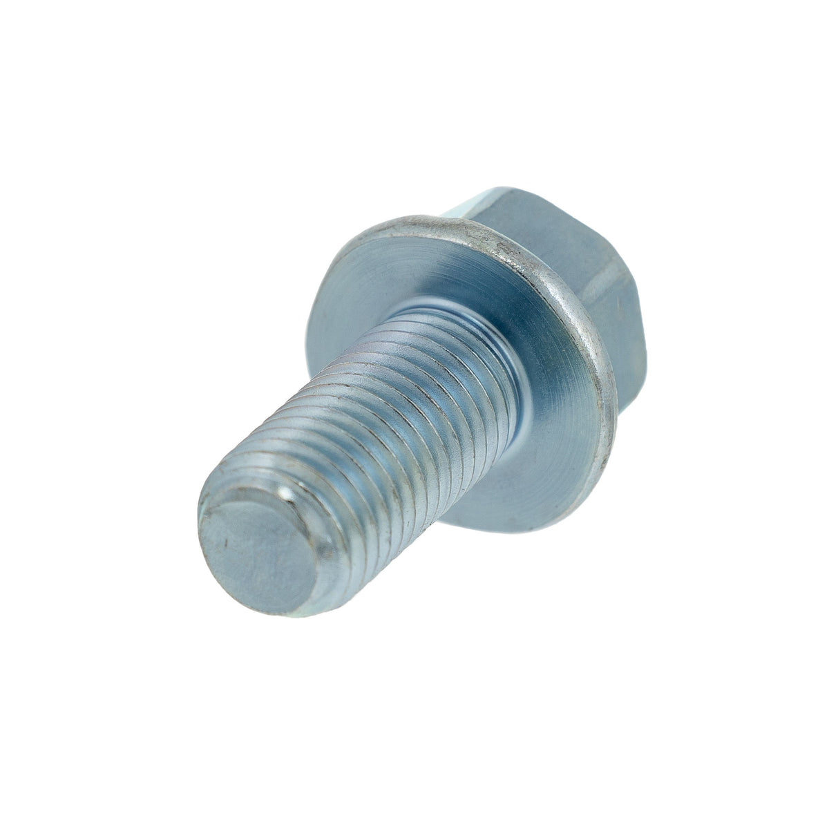 Polaris Hex Bolt 0455520 additional view