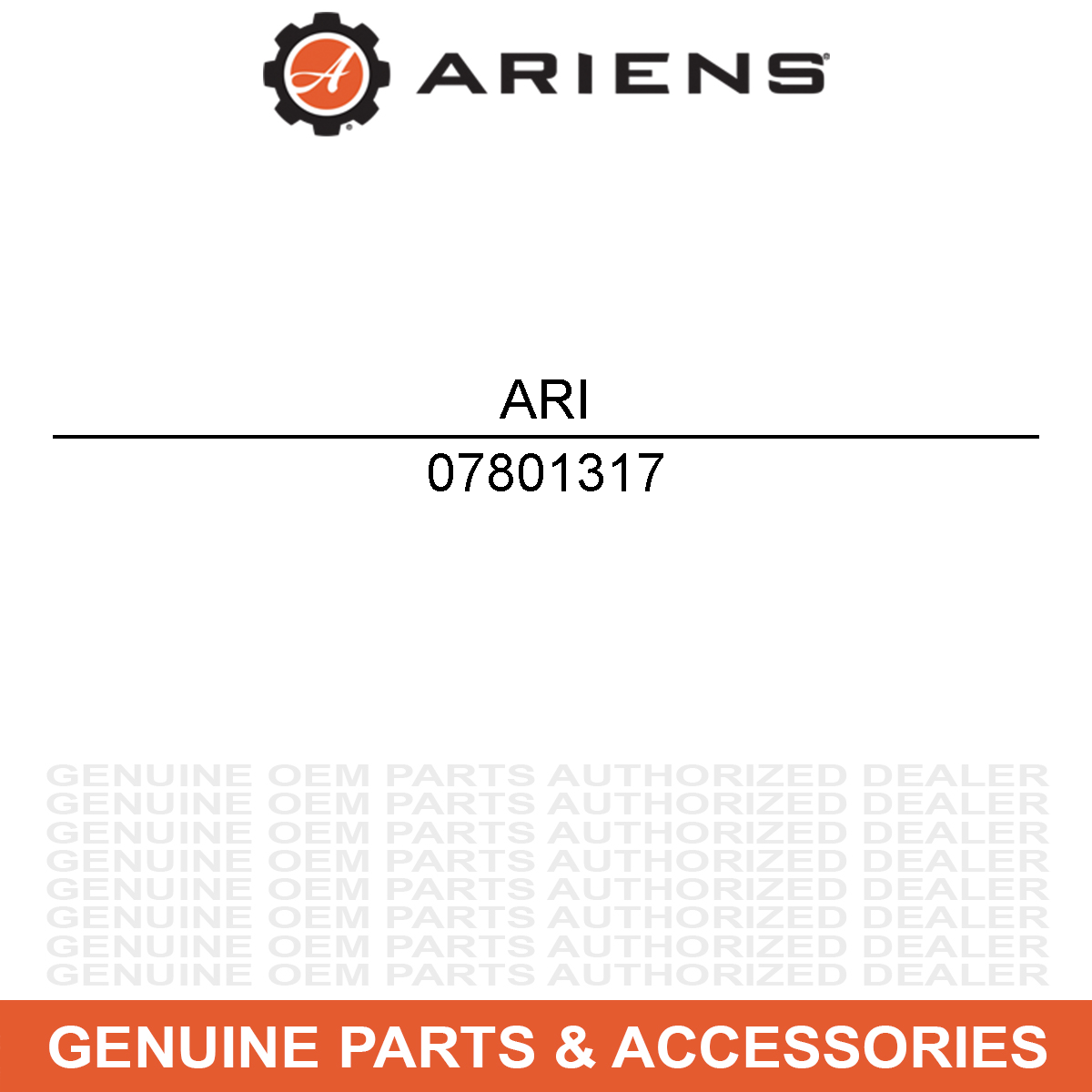 Ariens 07801317 Decal SHO RapidTrak Platinum Lakes Great Edition 30 28 24