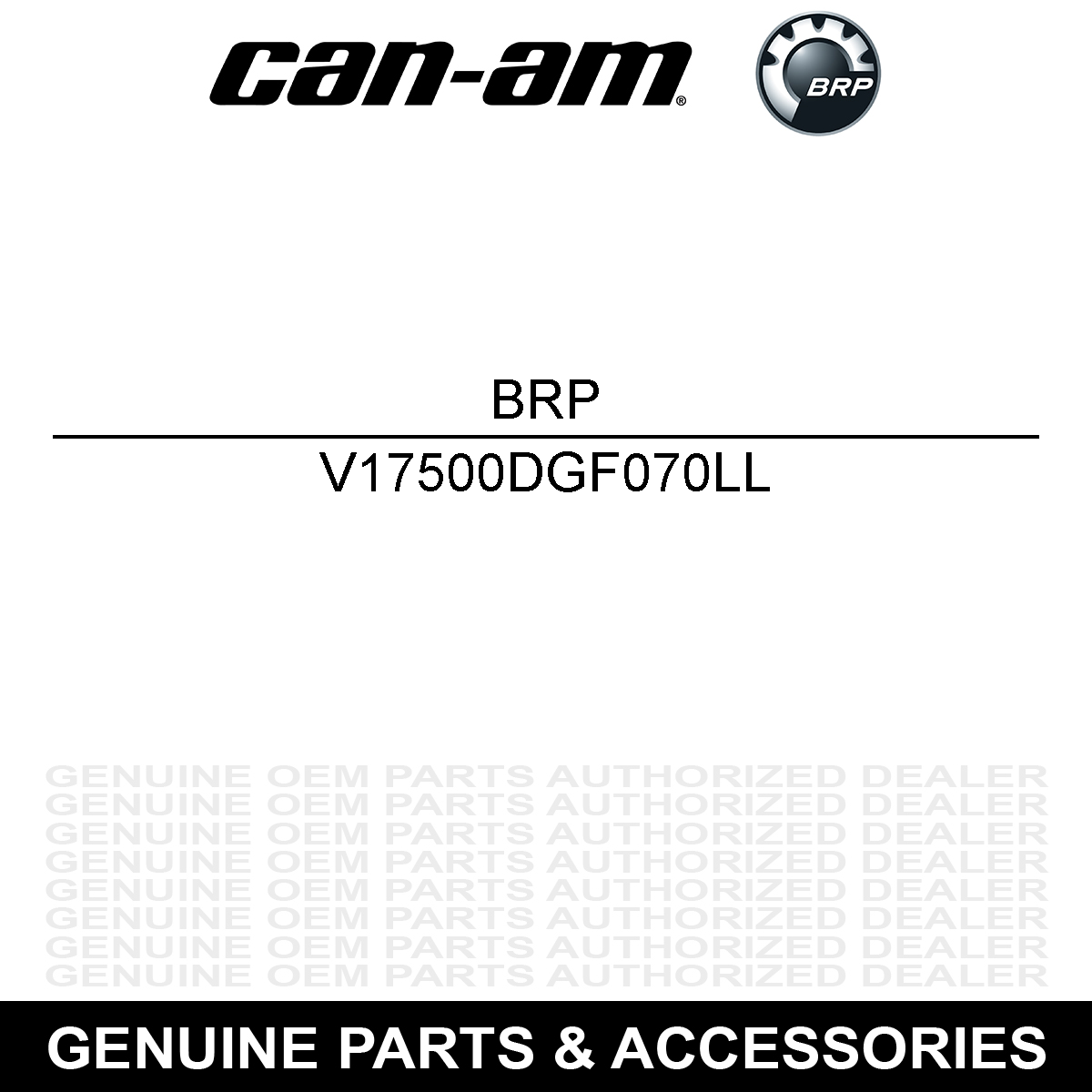 BRP FUEL TANK COMP V17500DGF070LL