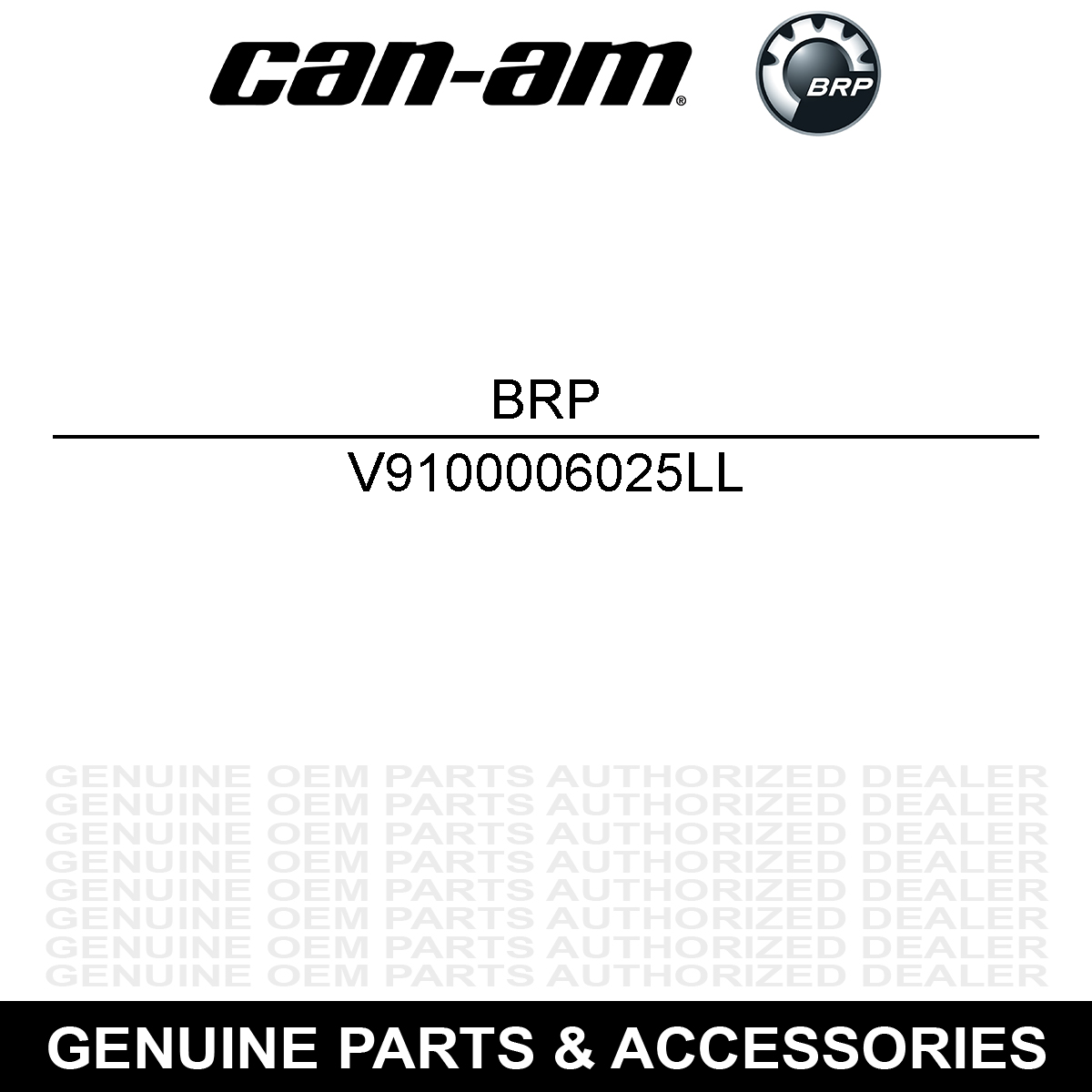 BRP V9100006025LL Bolt Quest DS 90 A9100006025 V9100006025 2002-2022