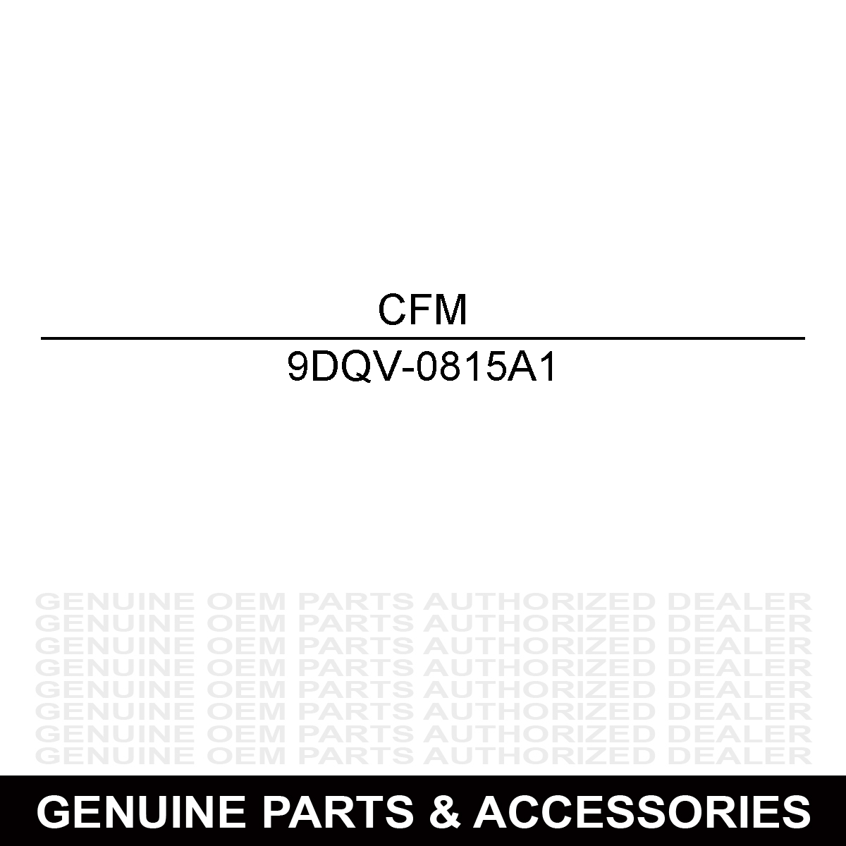 CFMoto 9DQV-0815A1 BRAKE PAD ASSY
