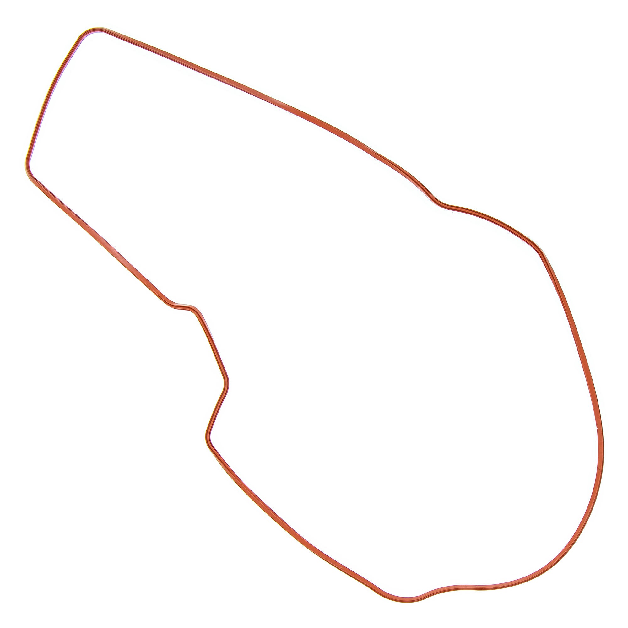 Arctic Cat Chaincase Cover Seal 3602-079