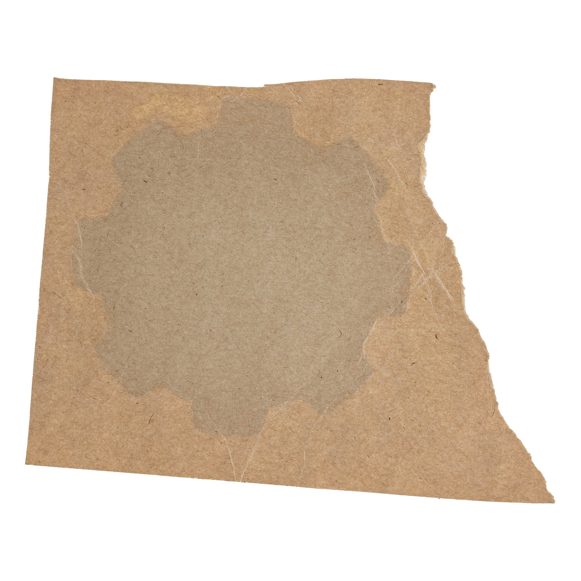 Ariens 07801627 Decal Gear Badge Platinum SHO SD RD RapidTrak 850 42 36 SSRC21