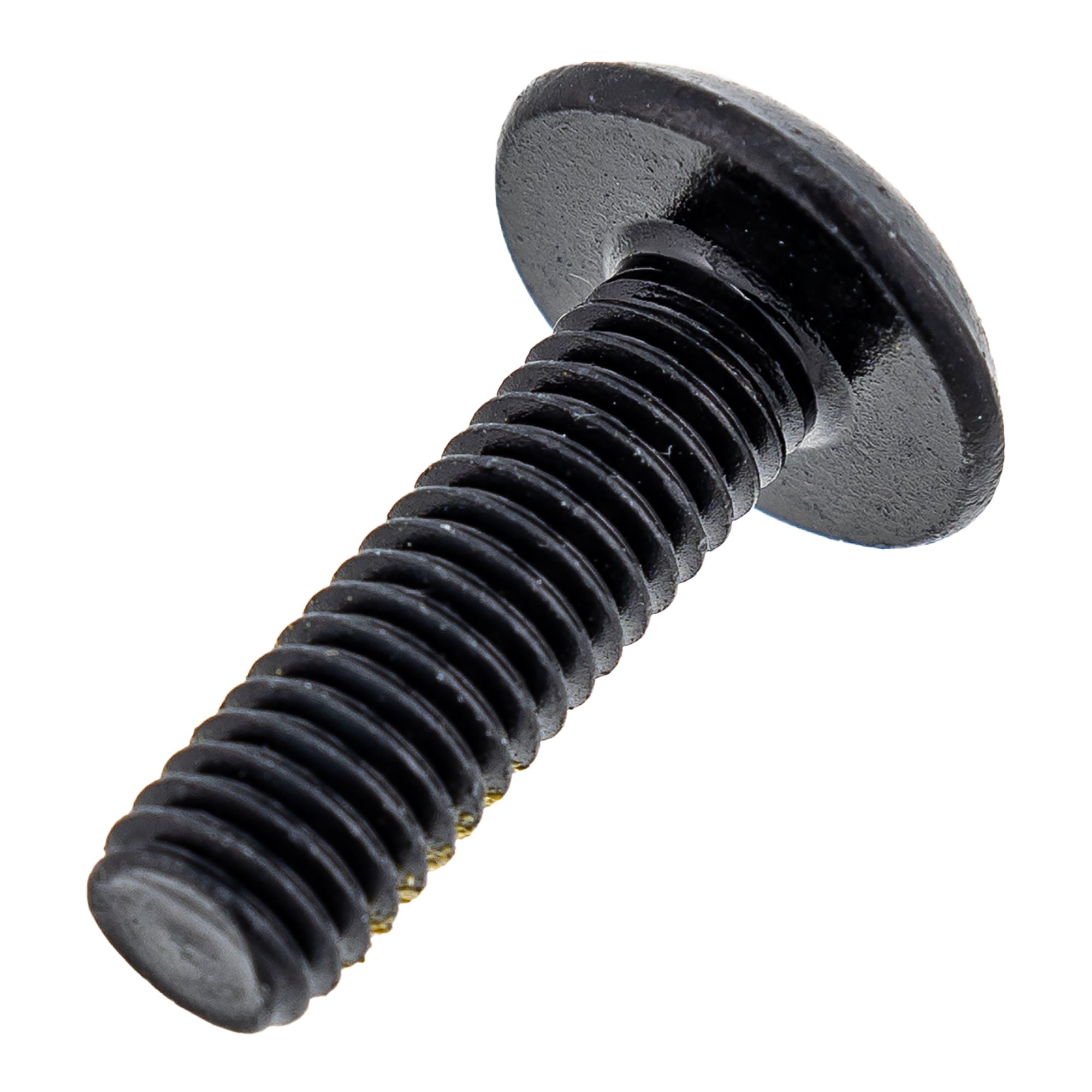 BRP 250000722 Can-Am Ski-Doo Torx Screw M6 X 20