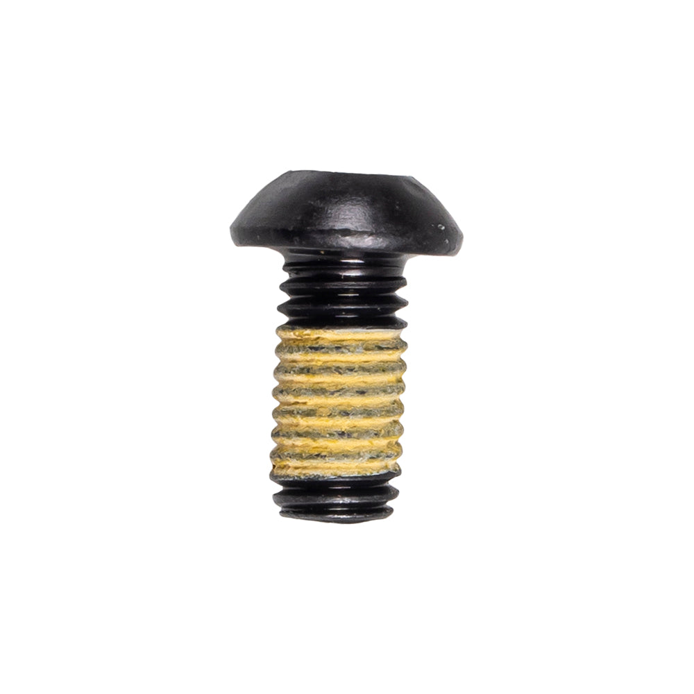 Genuine OEM BRP Screw Renegade GTX Tundra GSX 250000751