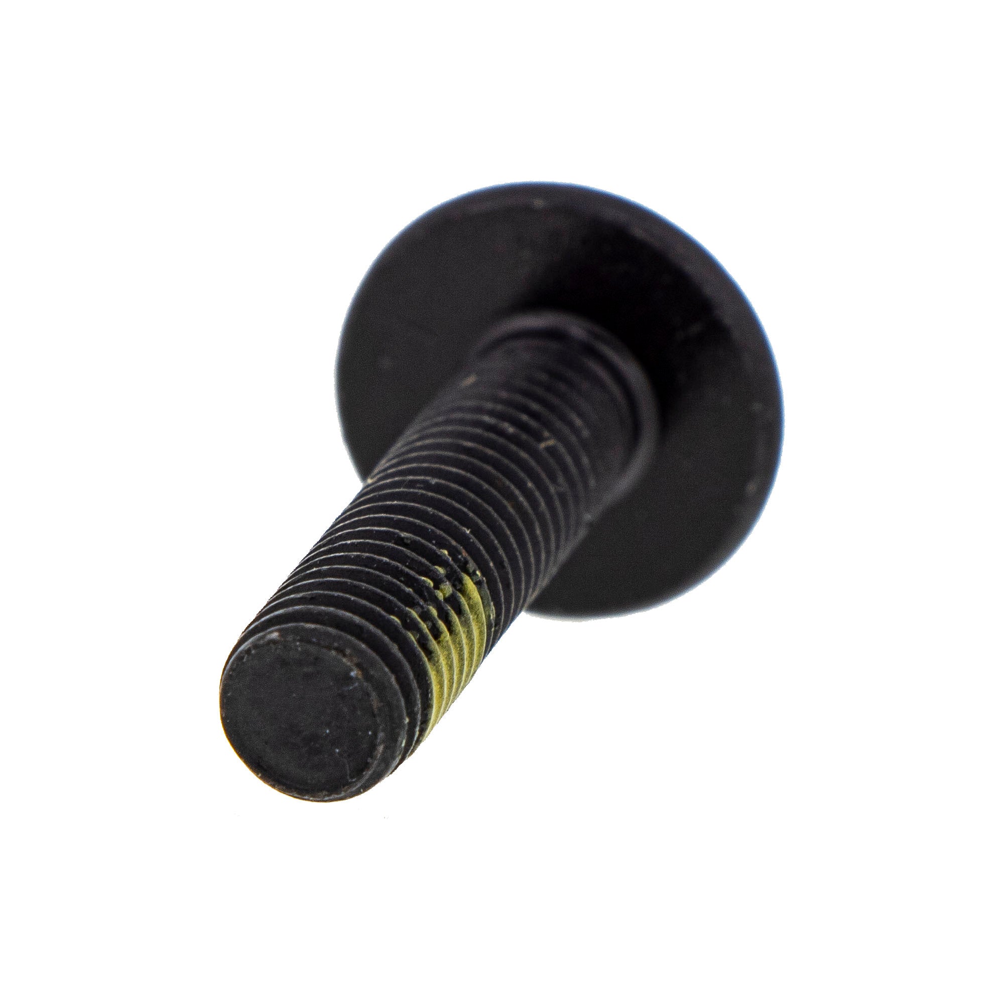 BRP Torx Screw M6 x 25 250000807