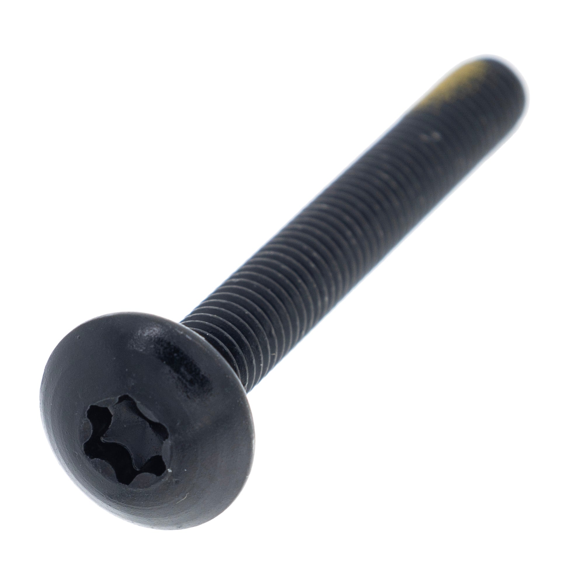 BRP Cab Torx Truss M6 x 50 250000868