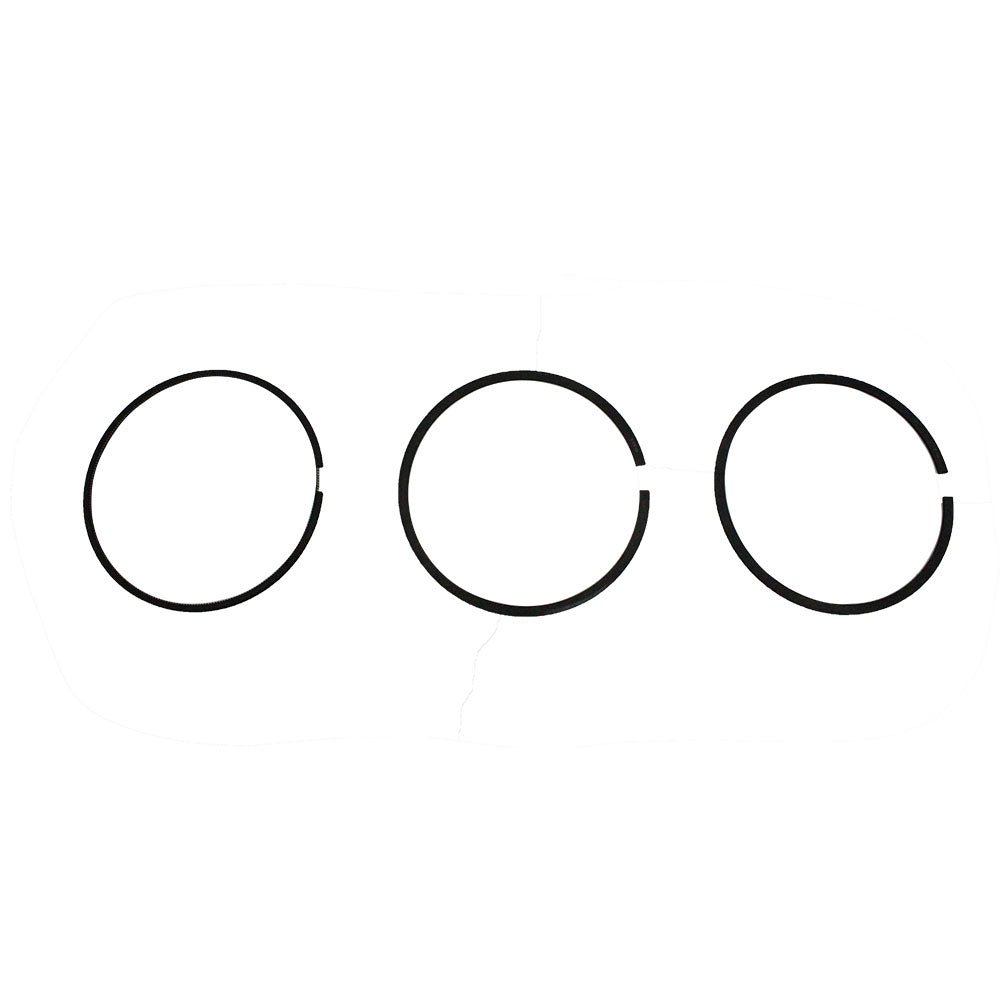 Genuine OEM BRP Piston Ring DS 420295184