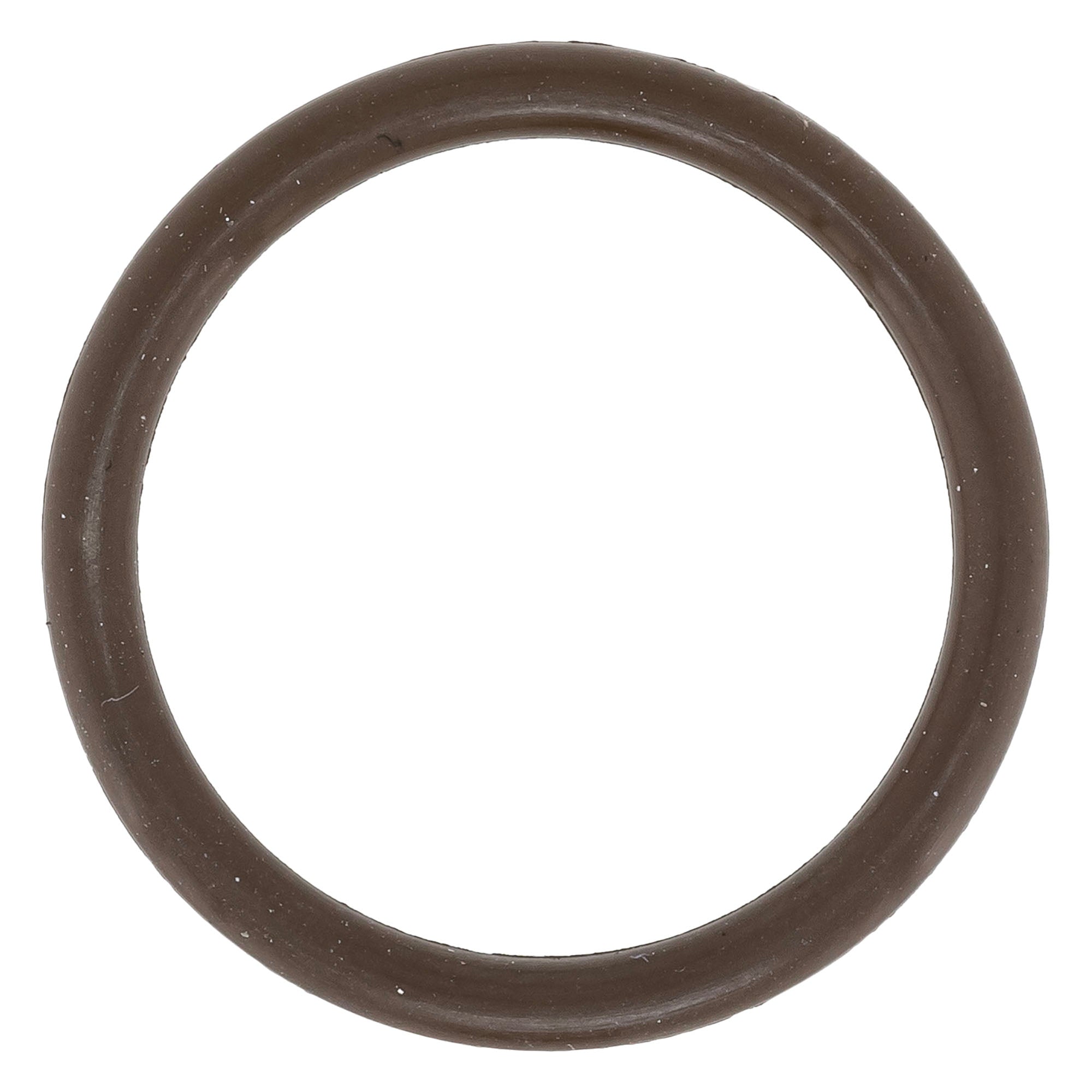 BRP O-Ring 420430373