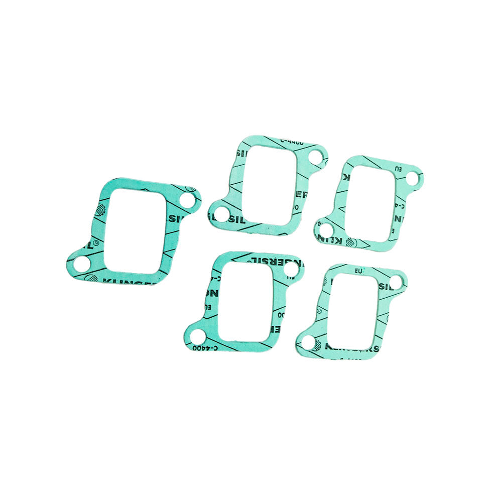 Genuine OEM BRP Gasket Tundra 420831861