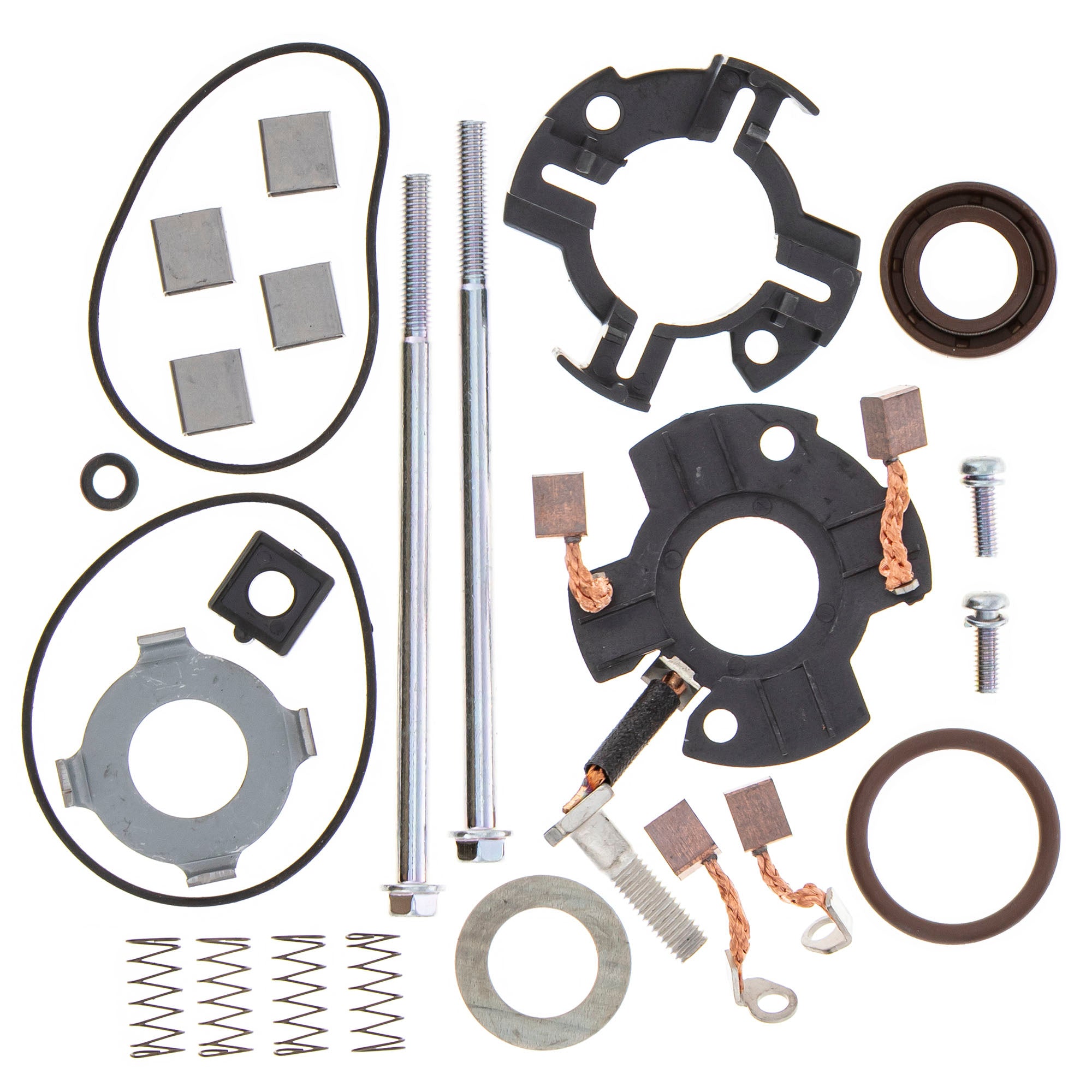 BRP Ski-Doo 420881141 Carbon Brush Set Renegade GTX Tundra 900 600 420881140