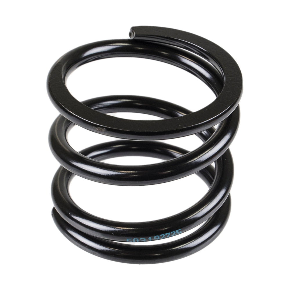Genuine OEM BRP Spring