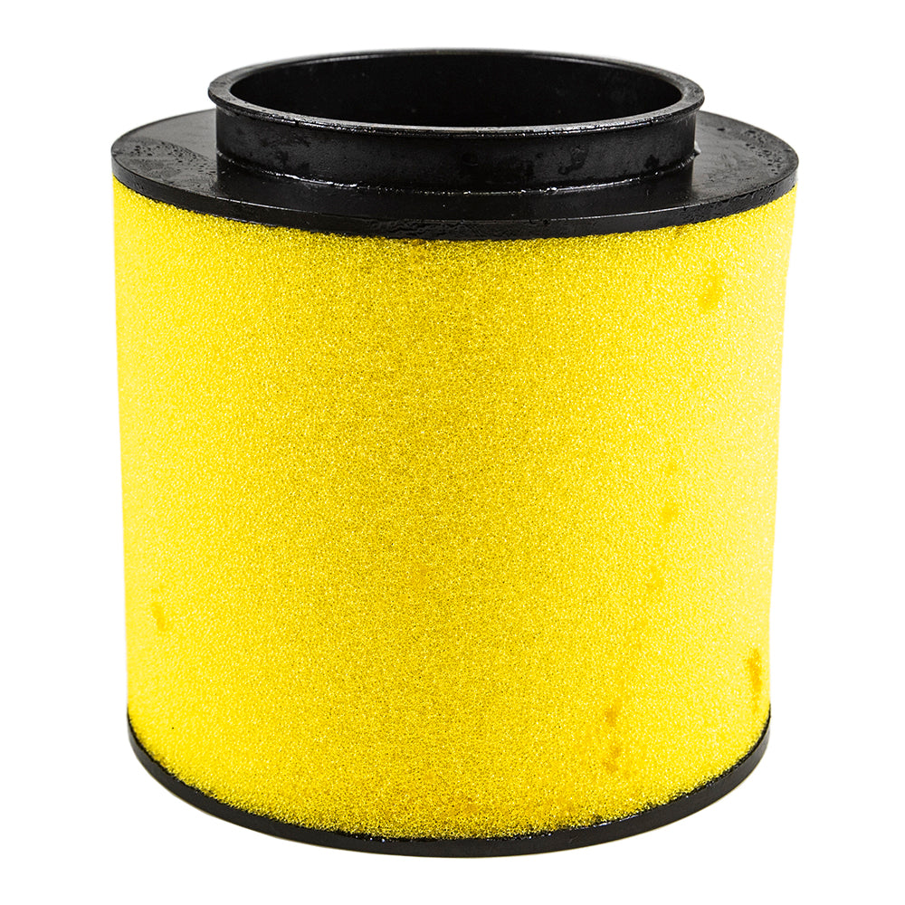 Honda 17254-HN1-000 Air Cleaner Element Pioneer X4 TRX 500 650 S 1999-2024