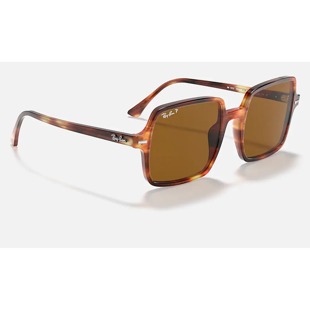 Ray-Ban RB1973-954/57-53 additional view