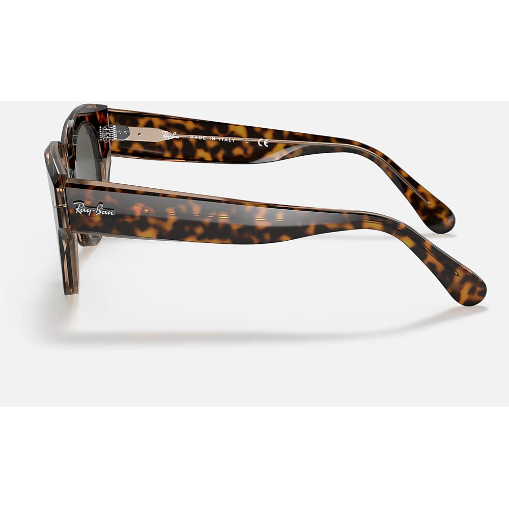 Ray-Ban RB2192-1292B1-47 Women's RB2192 Roundabout Round Sunglasses, Havana On Transparent