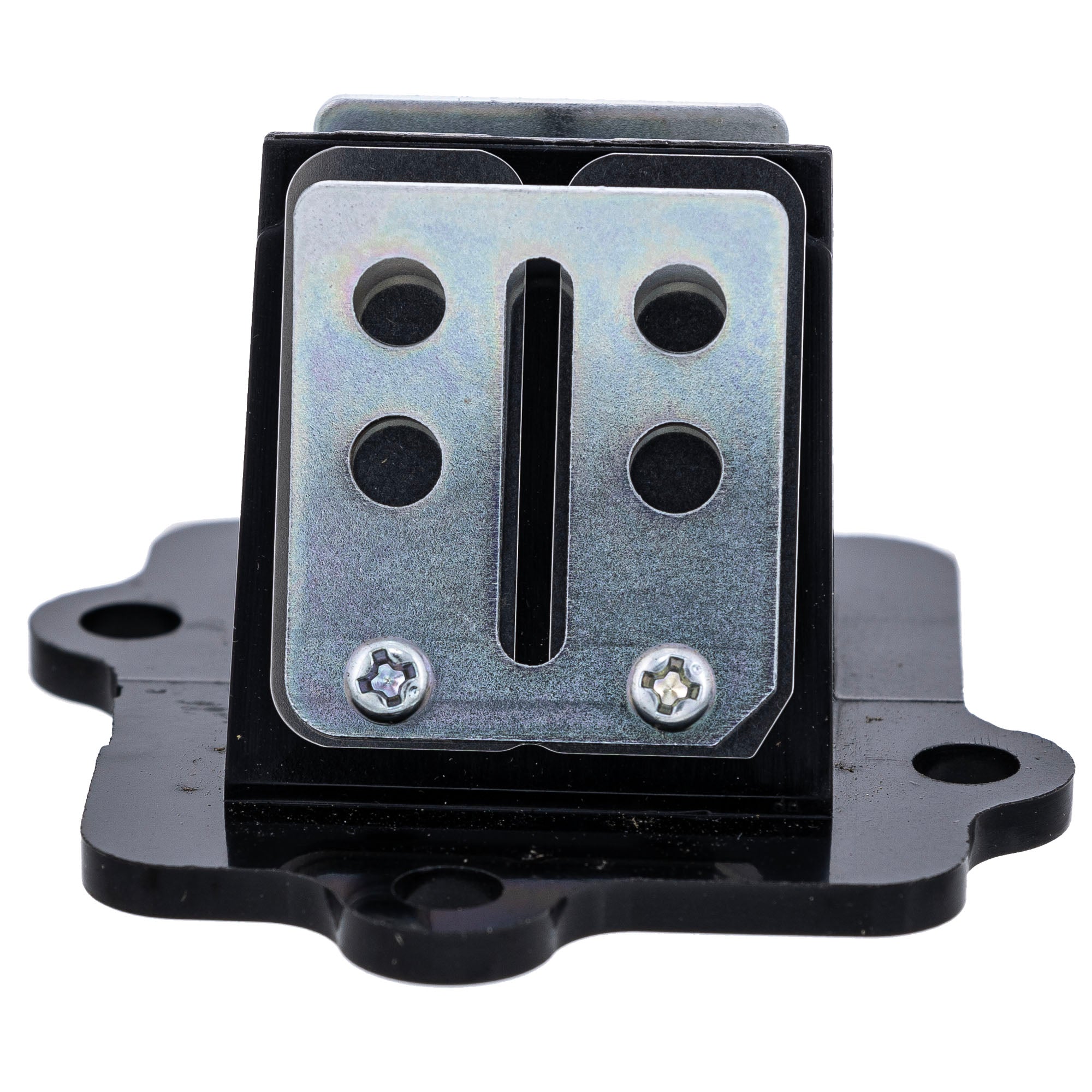 Polaris Reed Valve Assembly 0450063