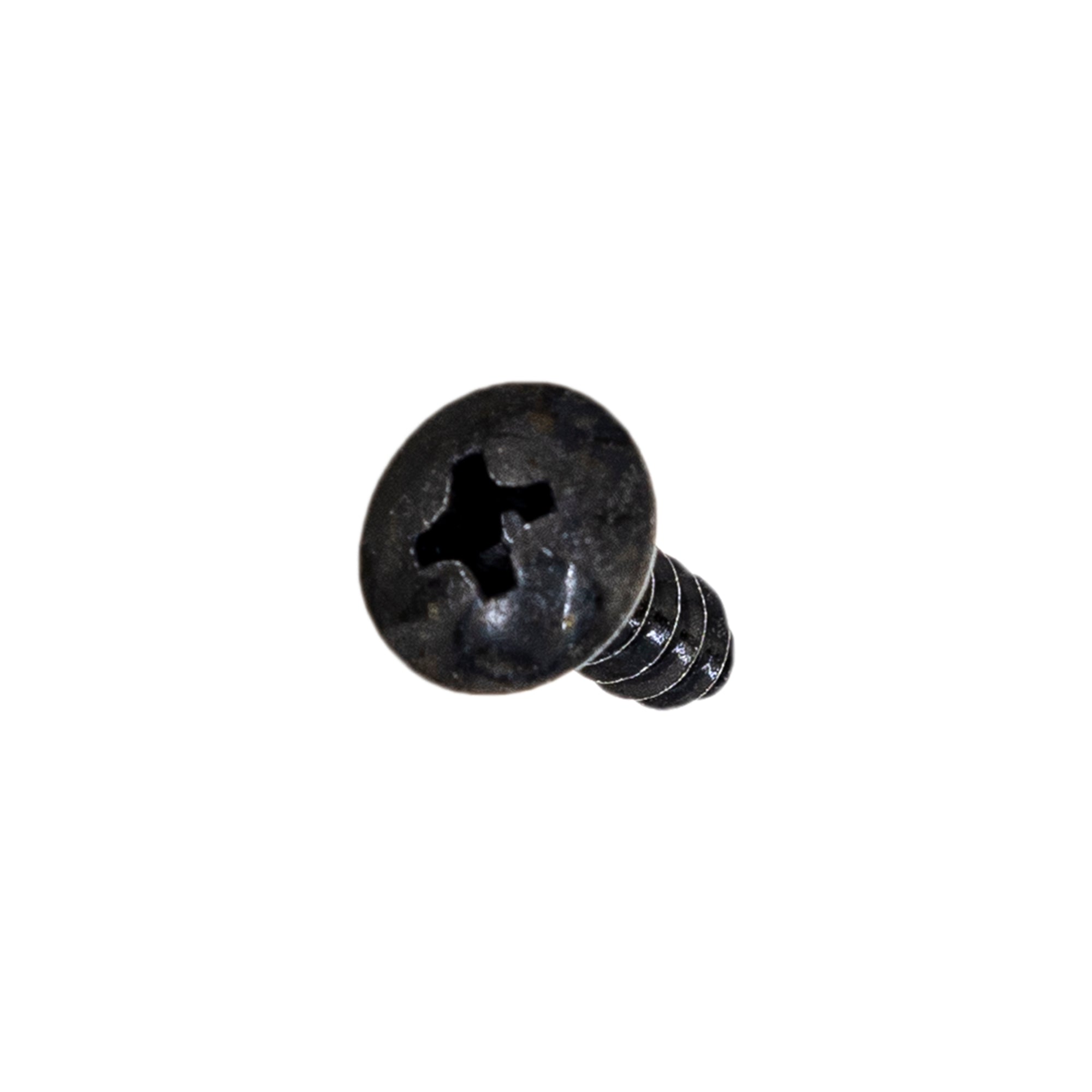 Polaris Body Tapping Screw 0450676