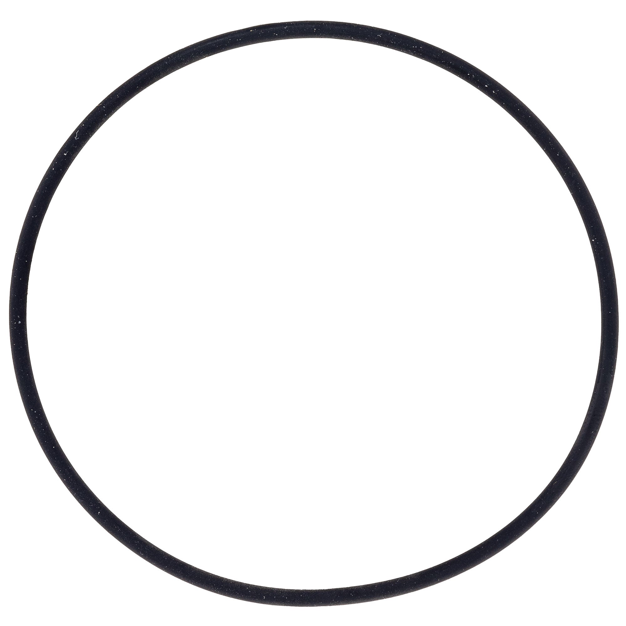 Polaris 0451875 Water Pump O-Ring 150 2004