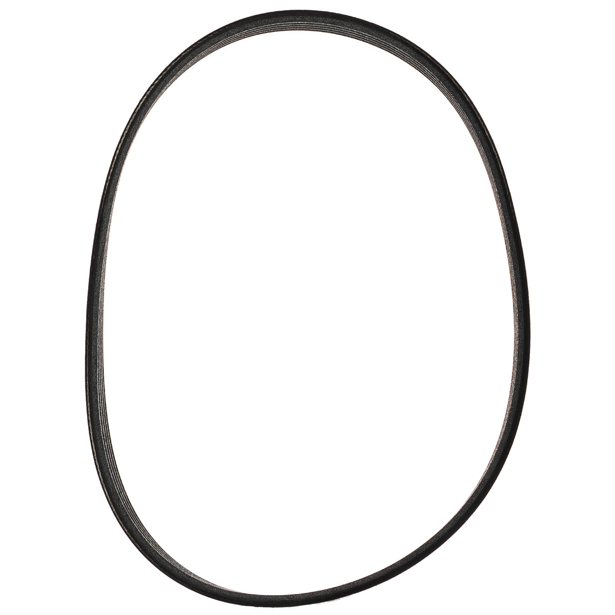 Polaris Generator Belt 0452963