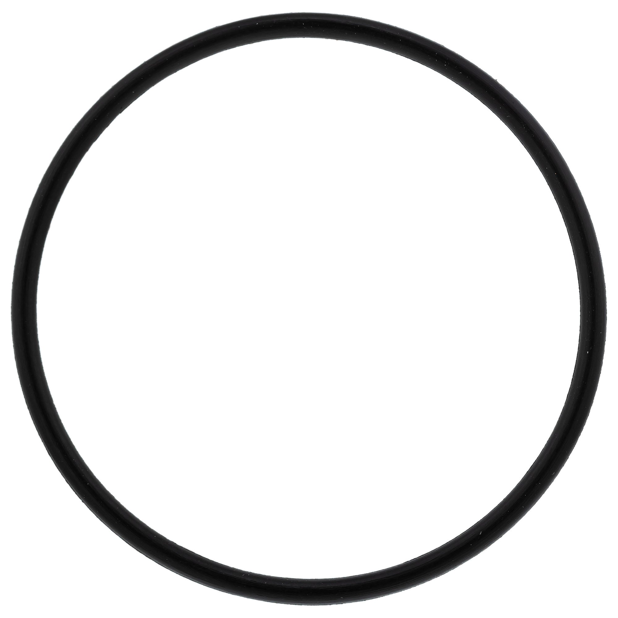 Polaris 0452982 Oil Pump O-Ring Switchback WideTrak IQ Turbo 2006-2014