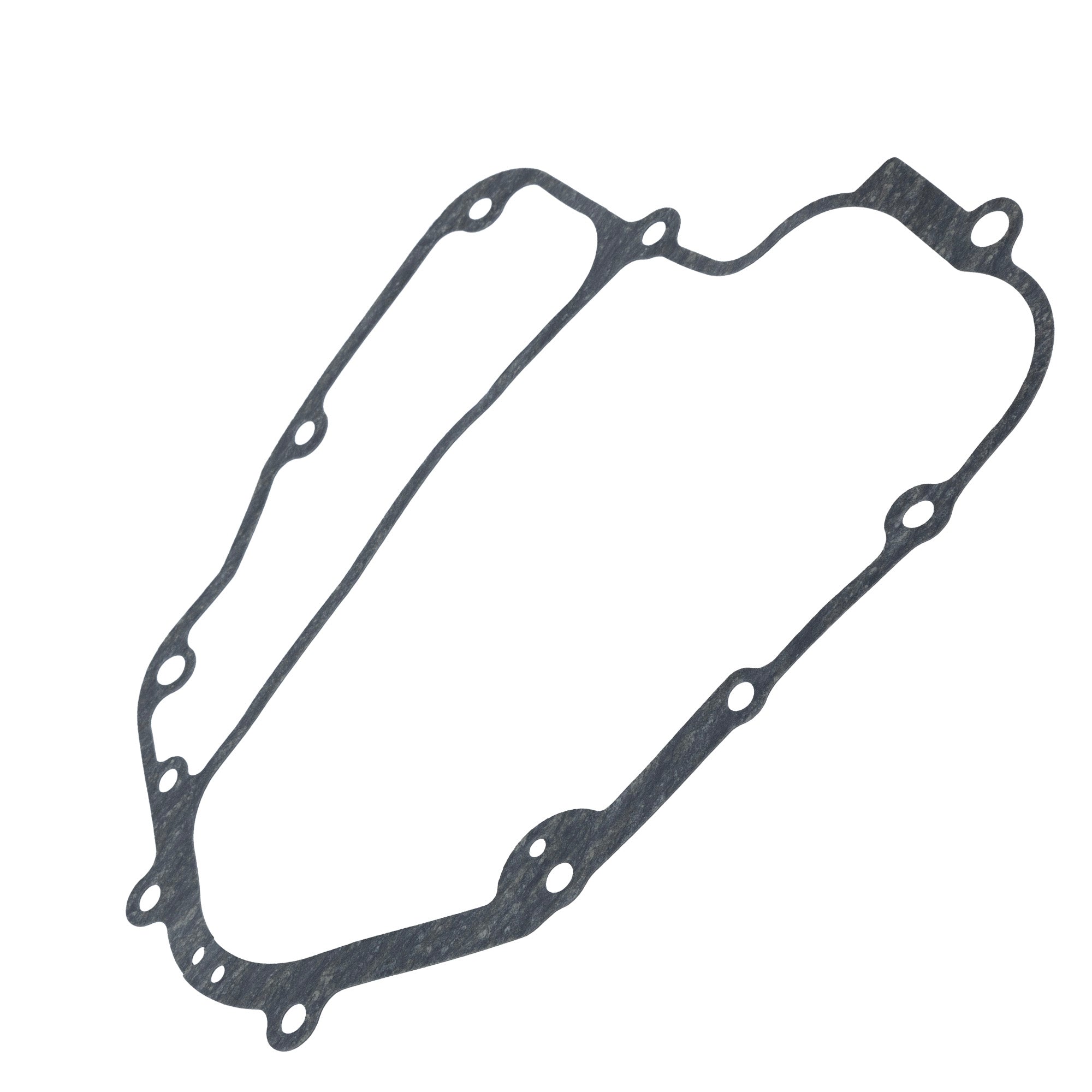 Genuine OEM Polaris Gasket Sawtooth Phoenix 0455349