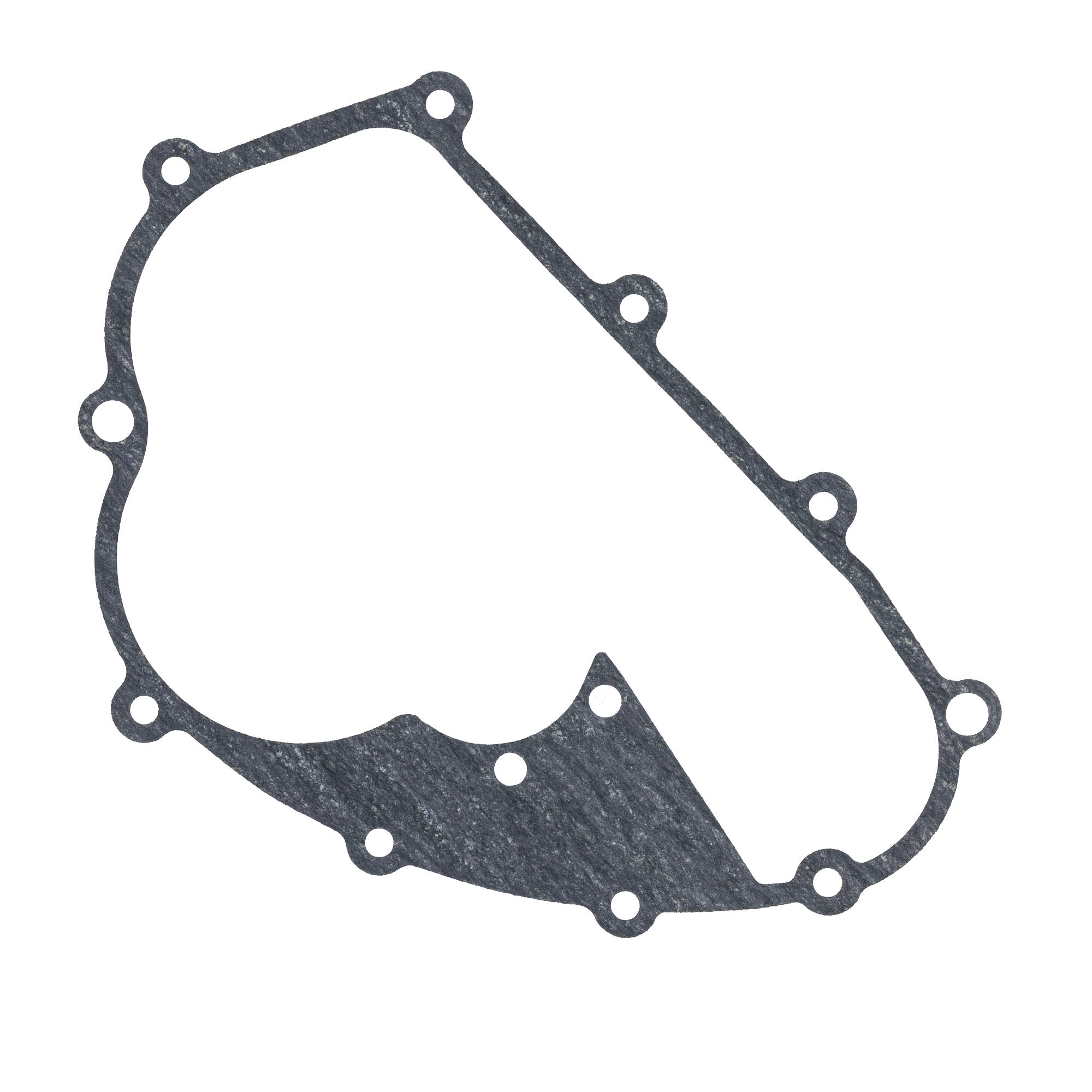 Genuine OEM Polaris Gasket RZR 0455358