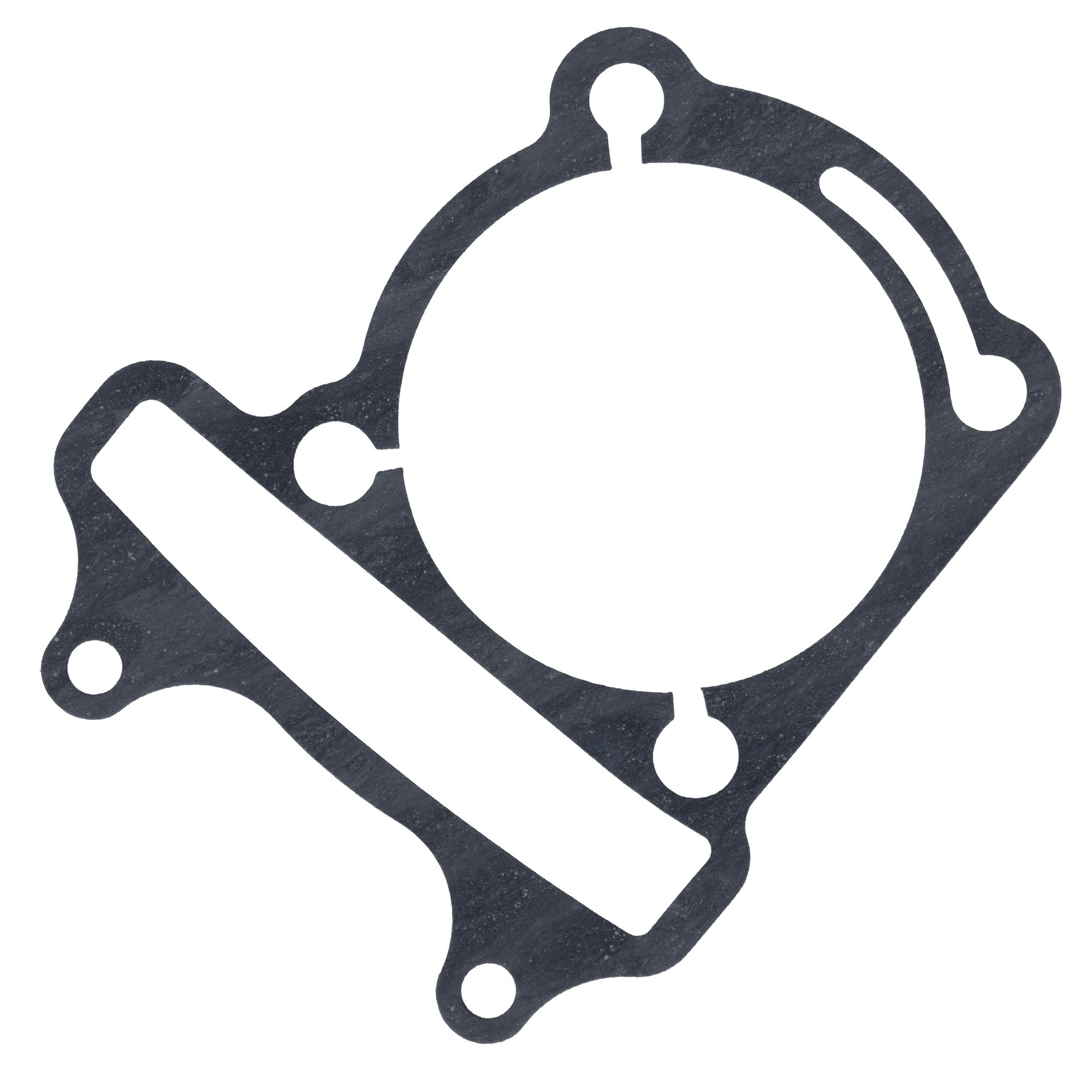 Genuine OEM Polaris Gasket RZR 0455362