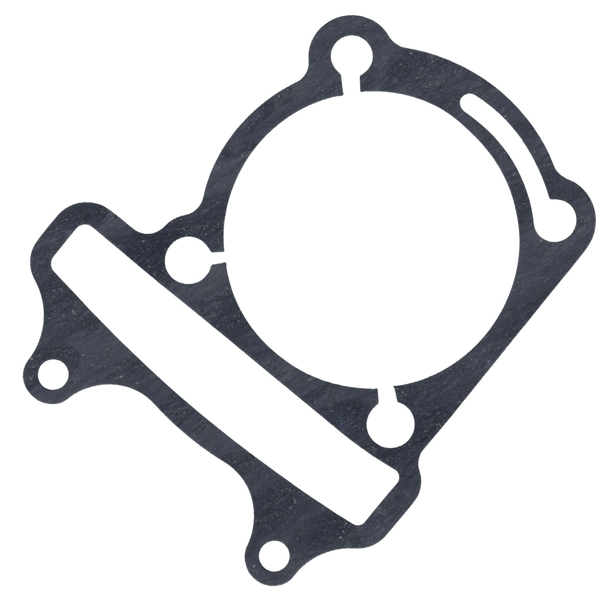 Genuine OEM Polaris Gasket RZR 0455362