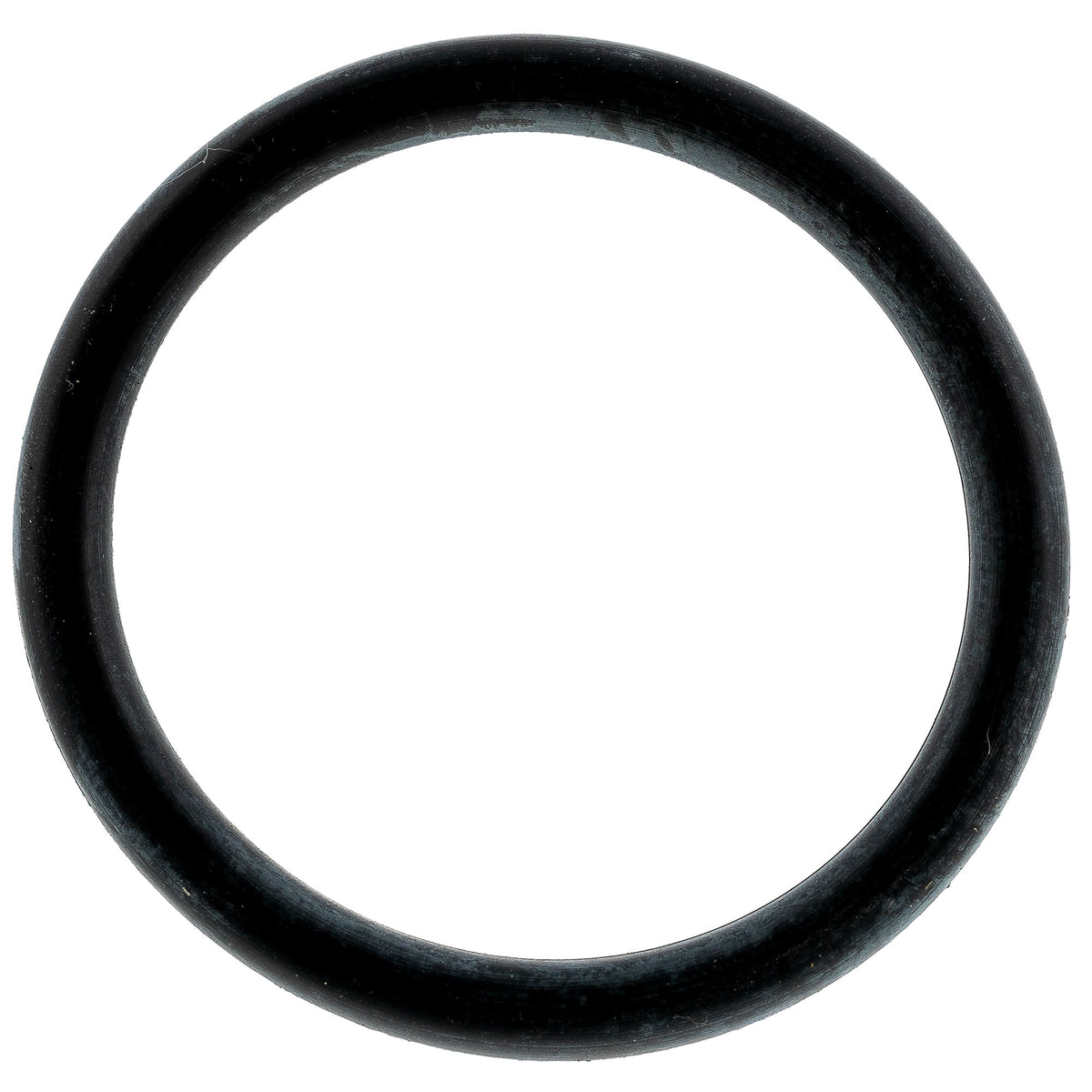 Polaris Reservoir O-Ring 1800028