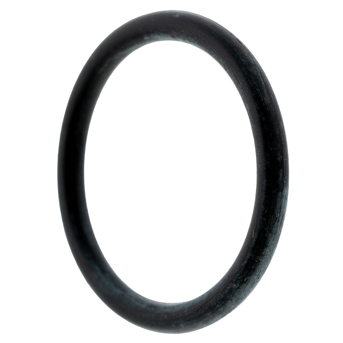 Polaris Reservoir O-Ring 1800028 alternate view