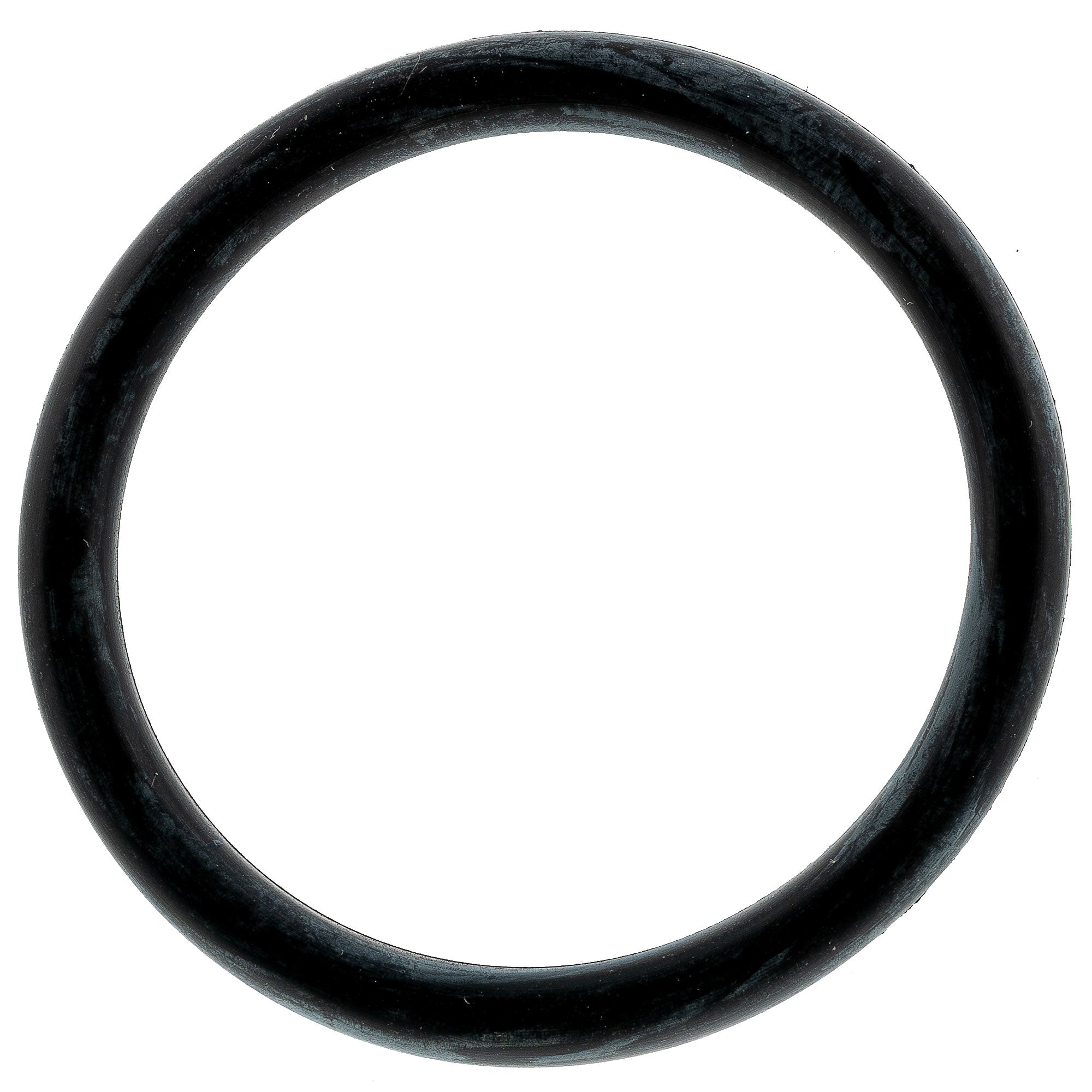 Polaris Reservoir O-Ring 1800028