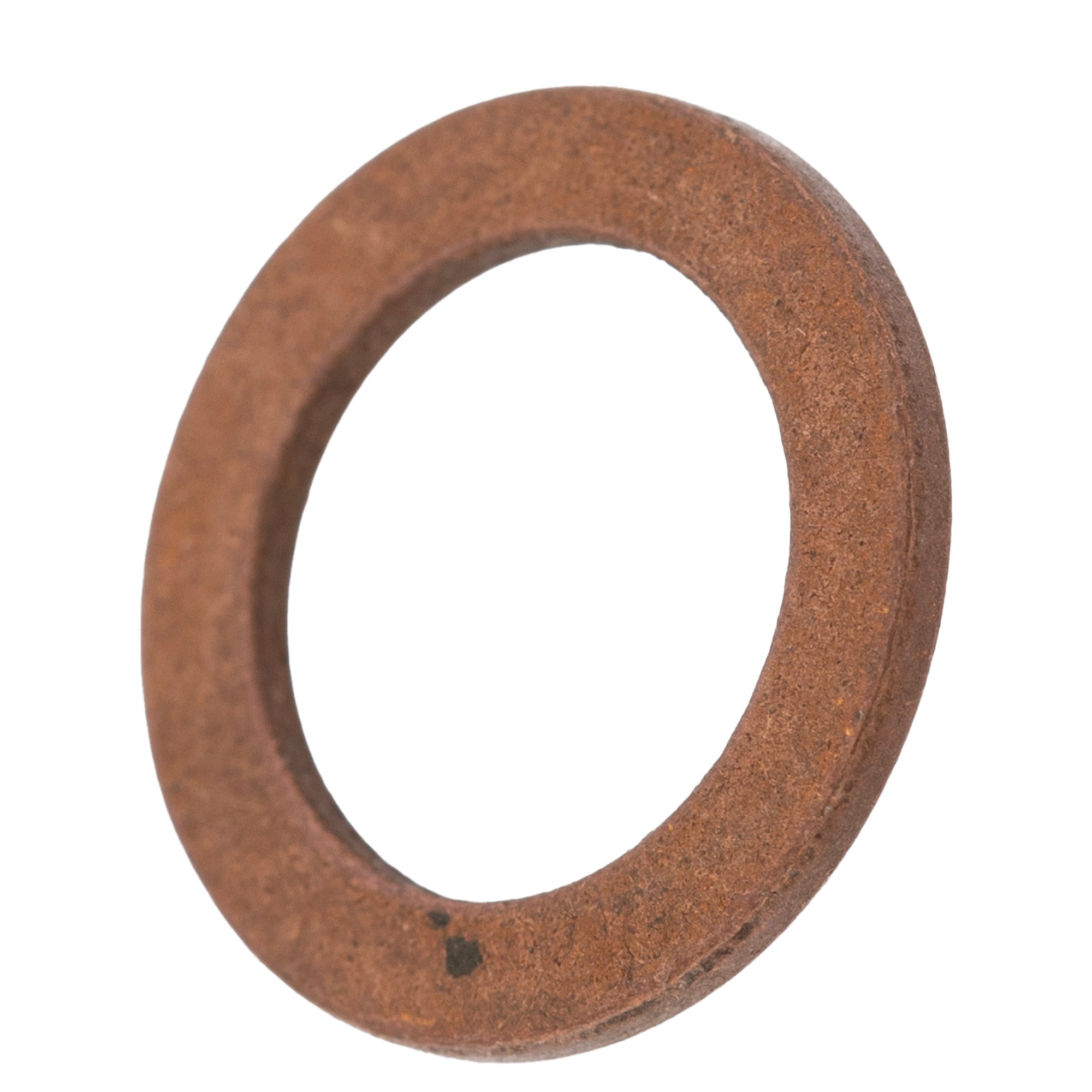 Polaris Copper Crush Washer Kit 2203393