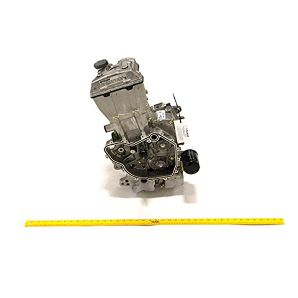 Polaris Long Block Kit 2204950