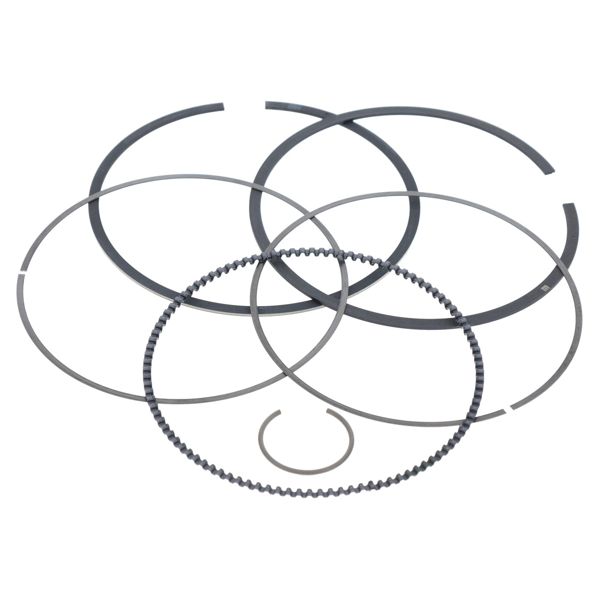 Polaris Standard Ring Kit 2206358