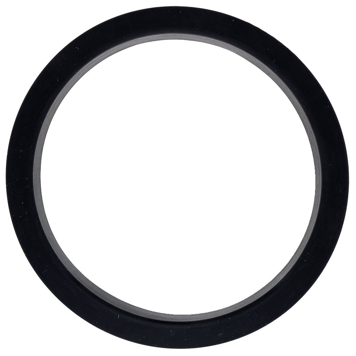 Polaris Fuel Filter/Gasket Kit 2211939