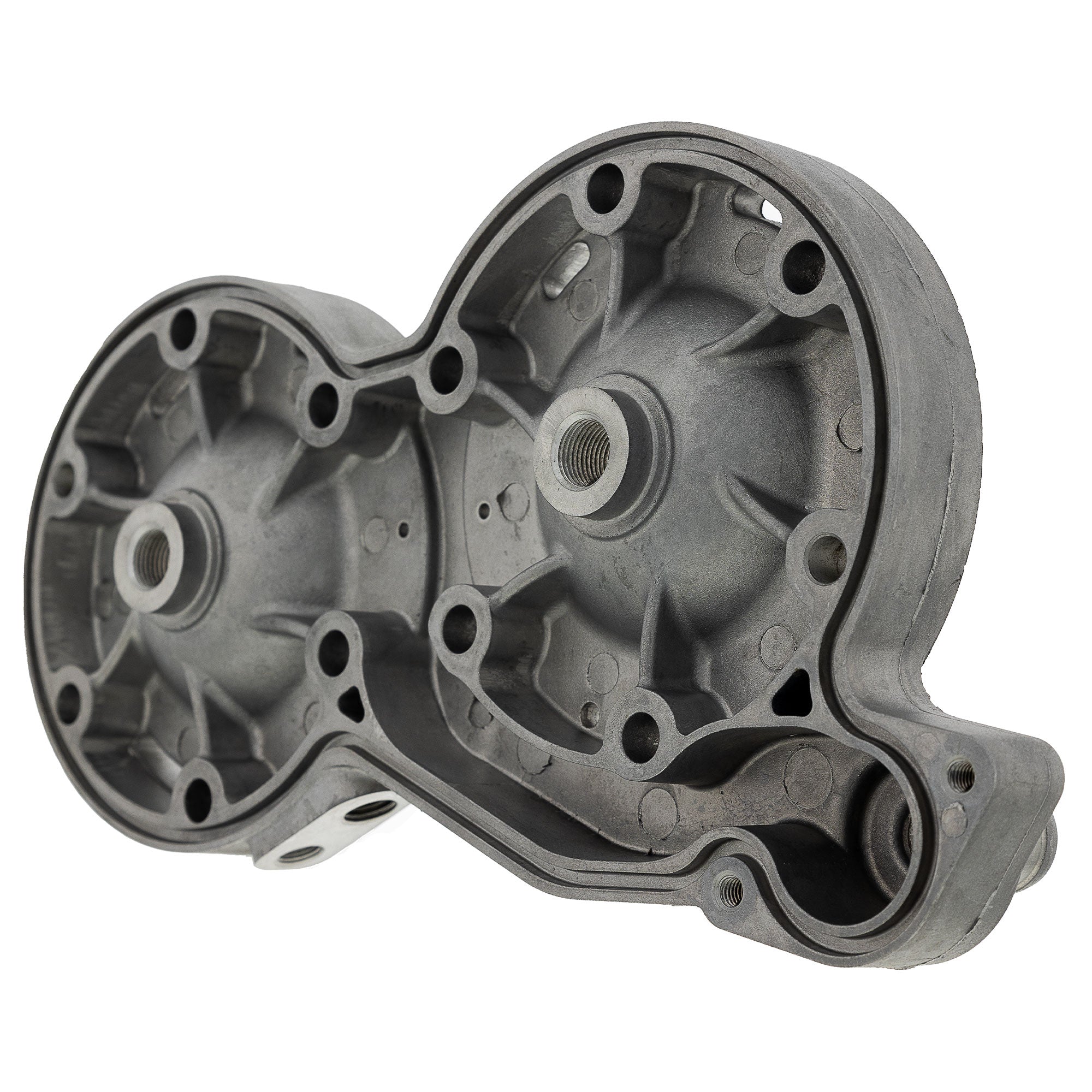 Polaris 3021768 Head-Cyl 81 Twin Sdi RMK Dragon 600 700 IQ RMK Switchback