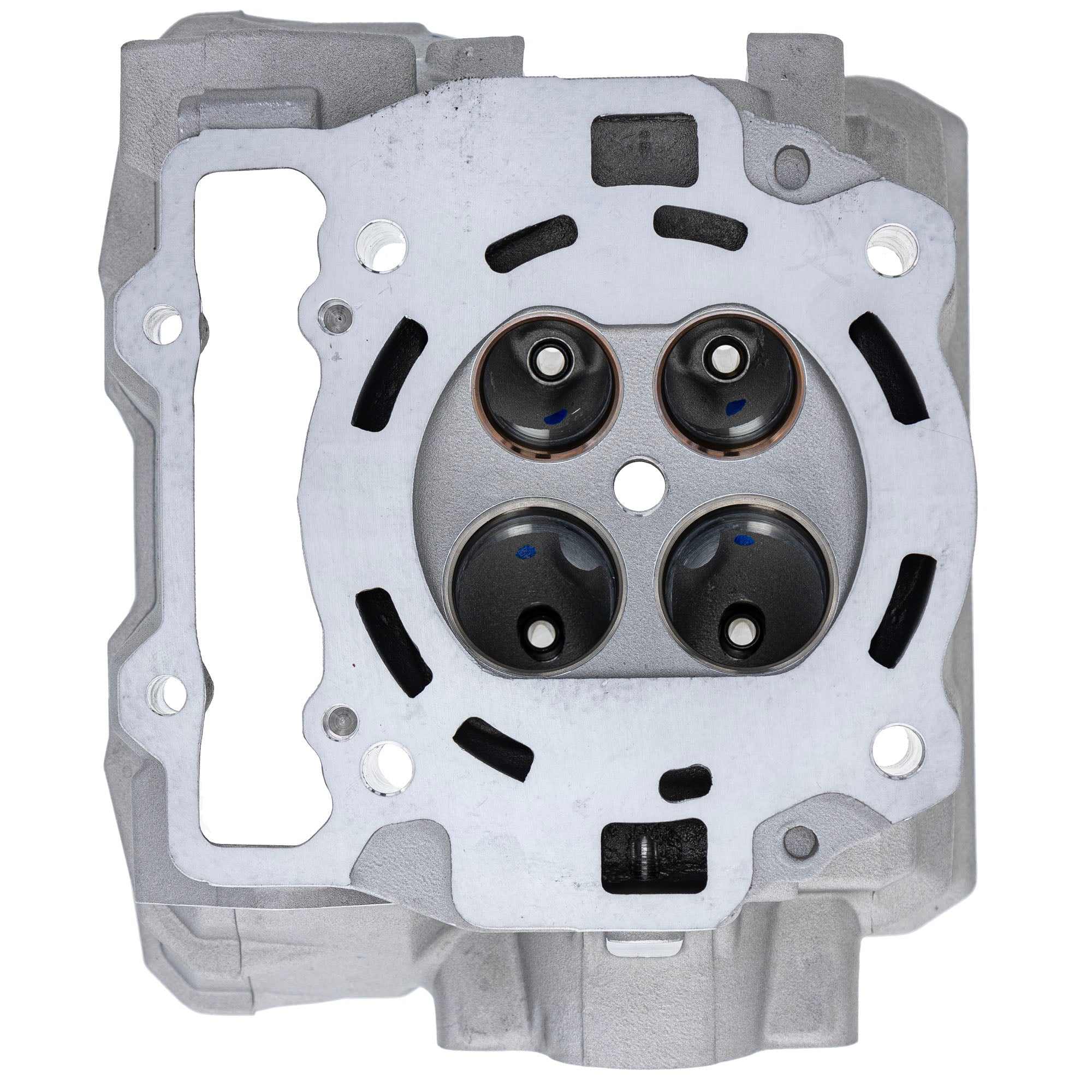 Polaris Cylinder Head 3022407 alternate view