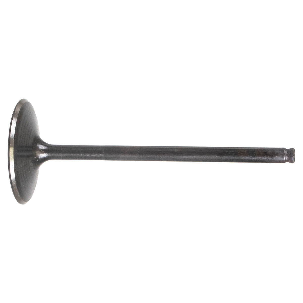 Polaris Intake Valve Steel 3022884 alternate view