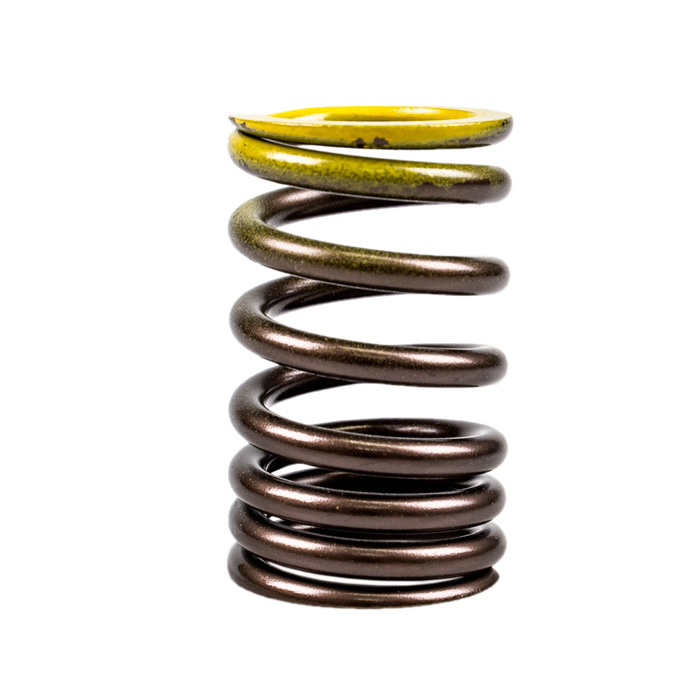 Genuine OEM Polaris Valve Spring Predator Outlaw 3087983