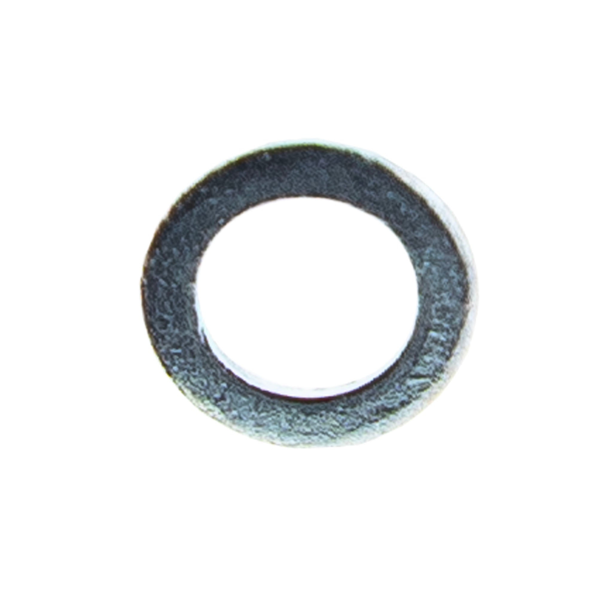 Polaris Washer Lock 3130523