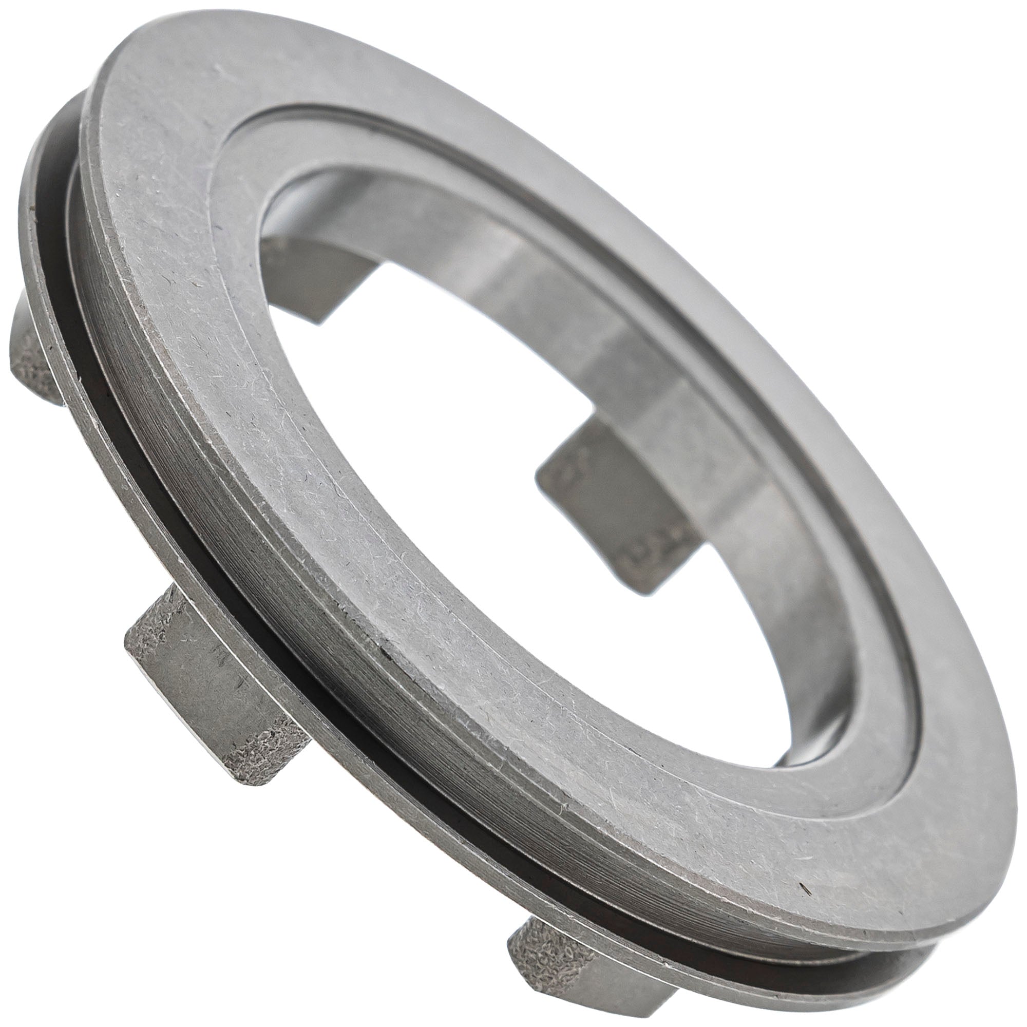 Polaris Engagement Dog 3234928