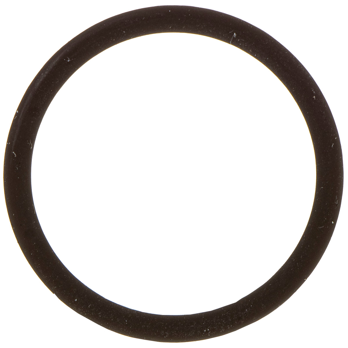 Polaris O-Ring 26.65 x 2.62 5412530