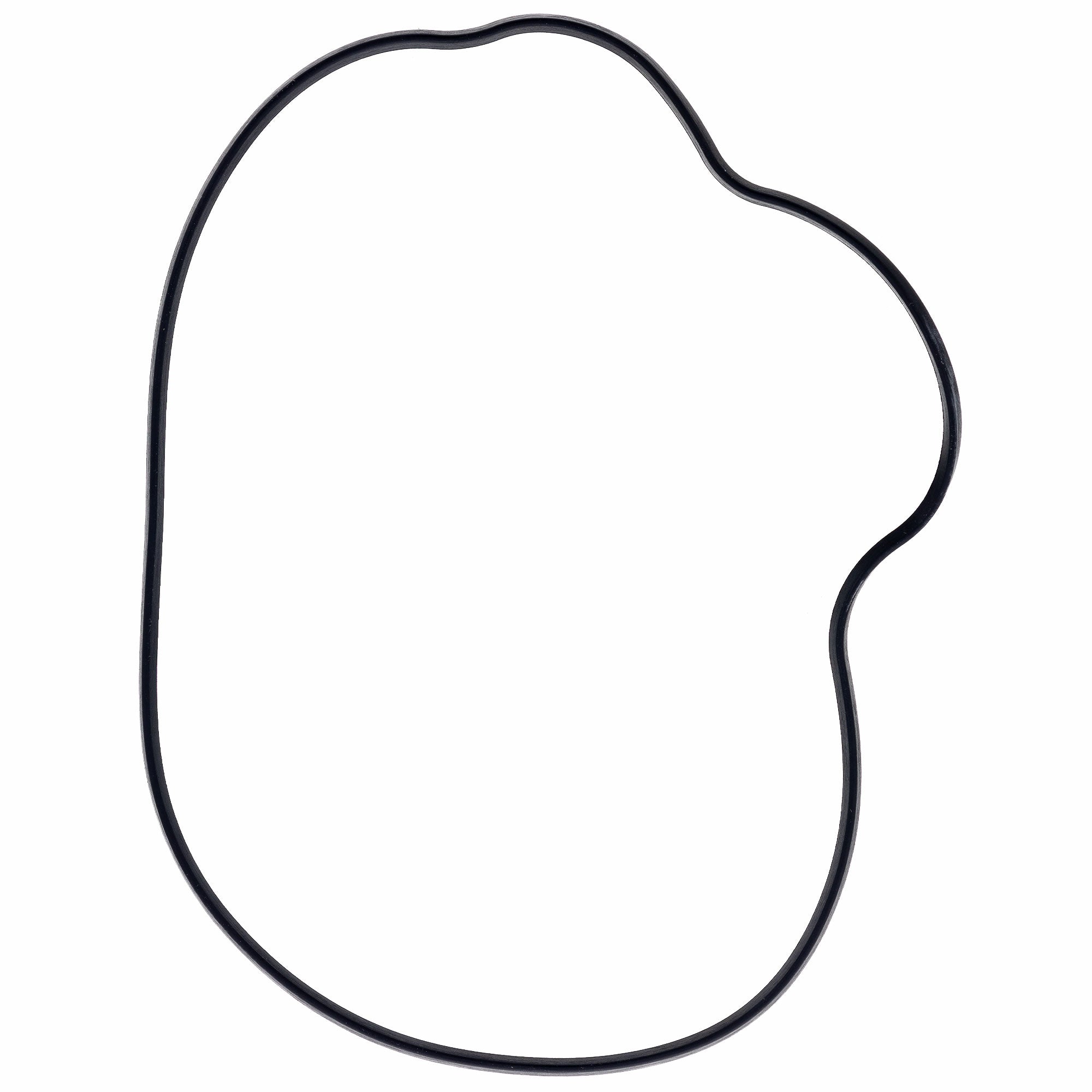 Polaris 5413972 Stator Cover Seal RZR Ranger Sportsman 800 700 XP XC S Crew