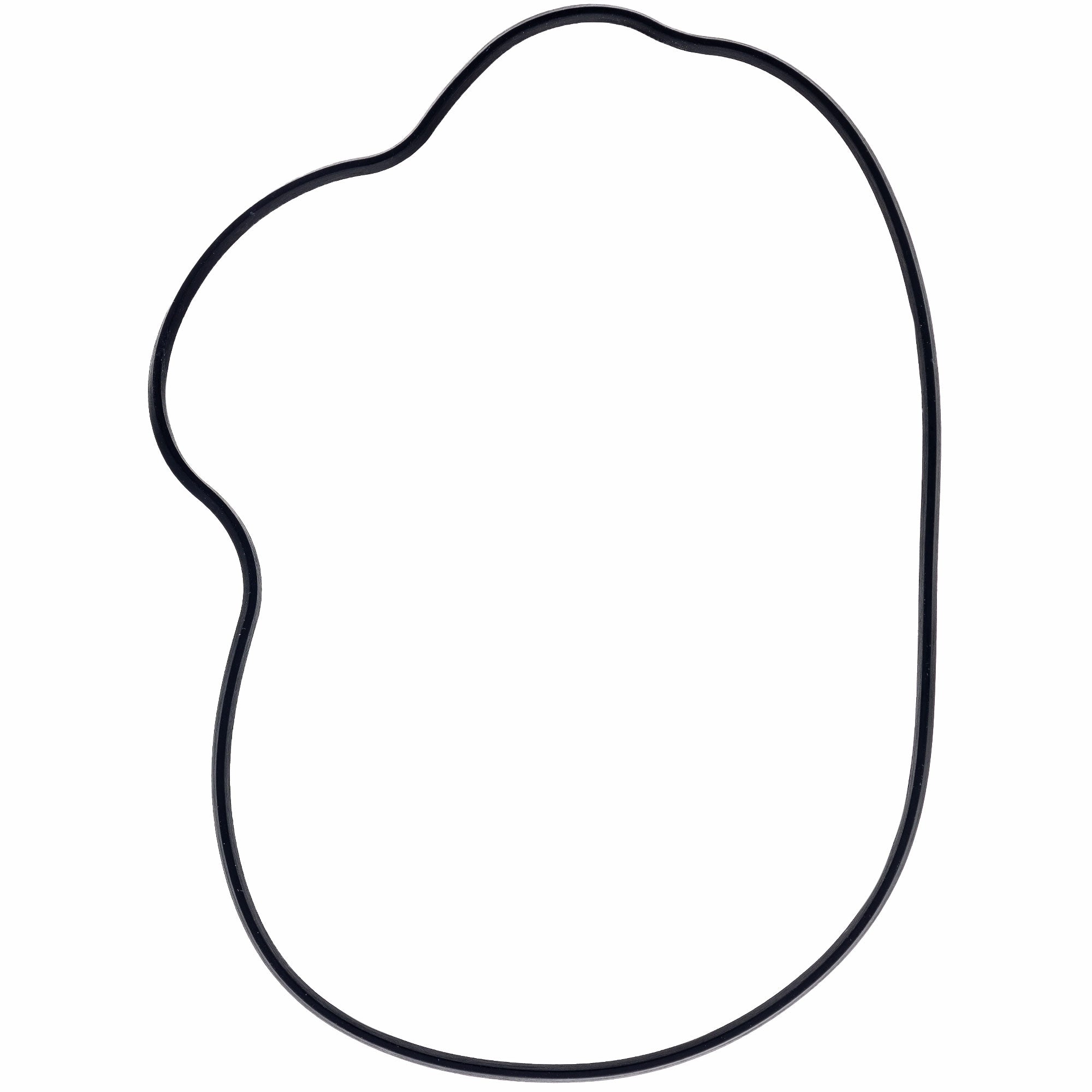 Genuine OEM Polaris Seal RZR Ranger Sportsman XC 5413972