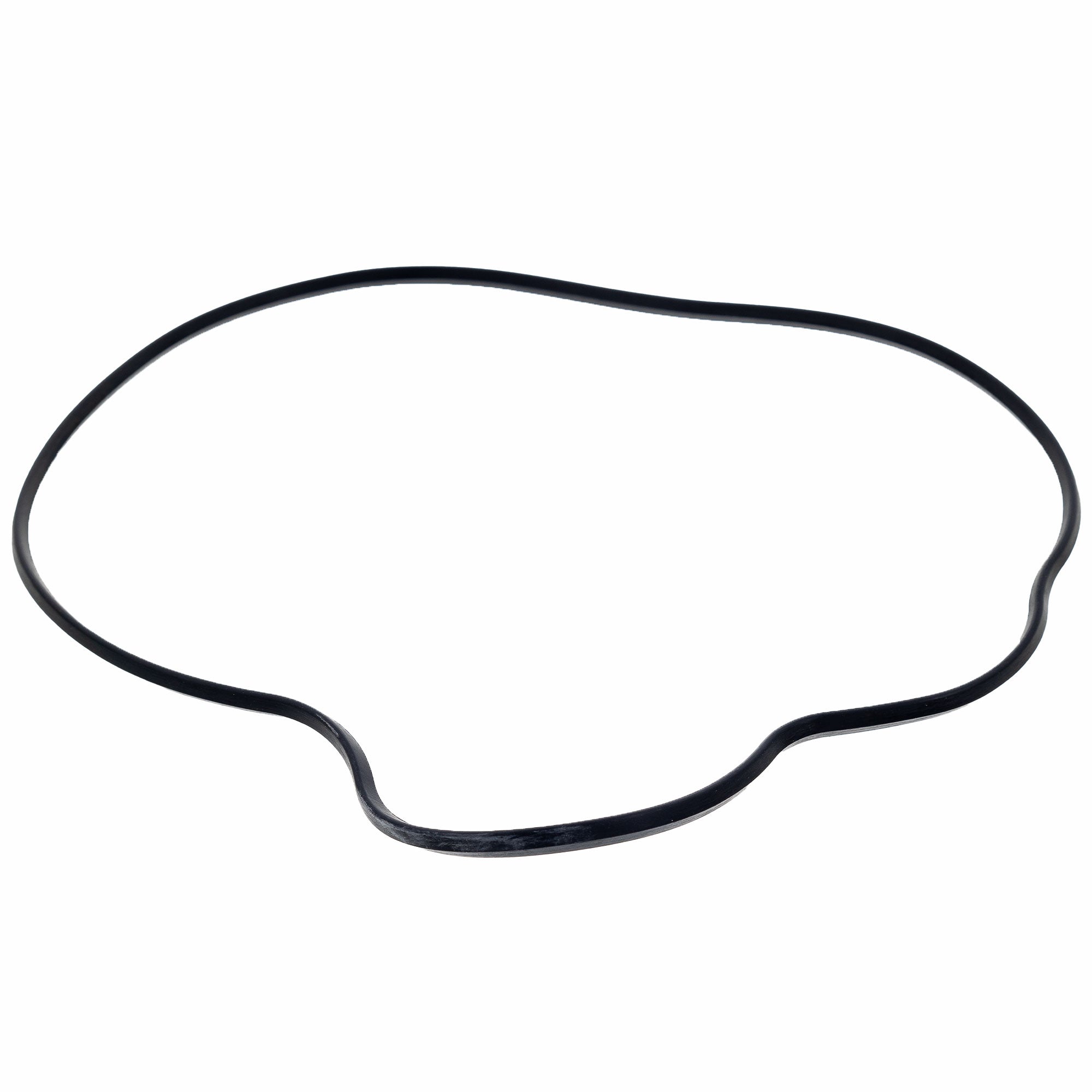 Polaris Stator Cover Seal 5413972