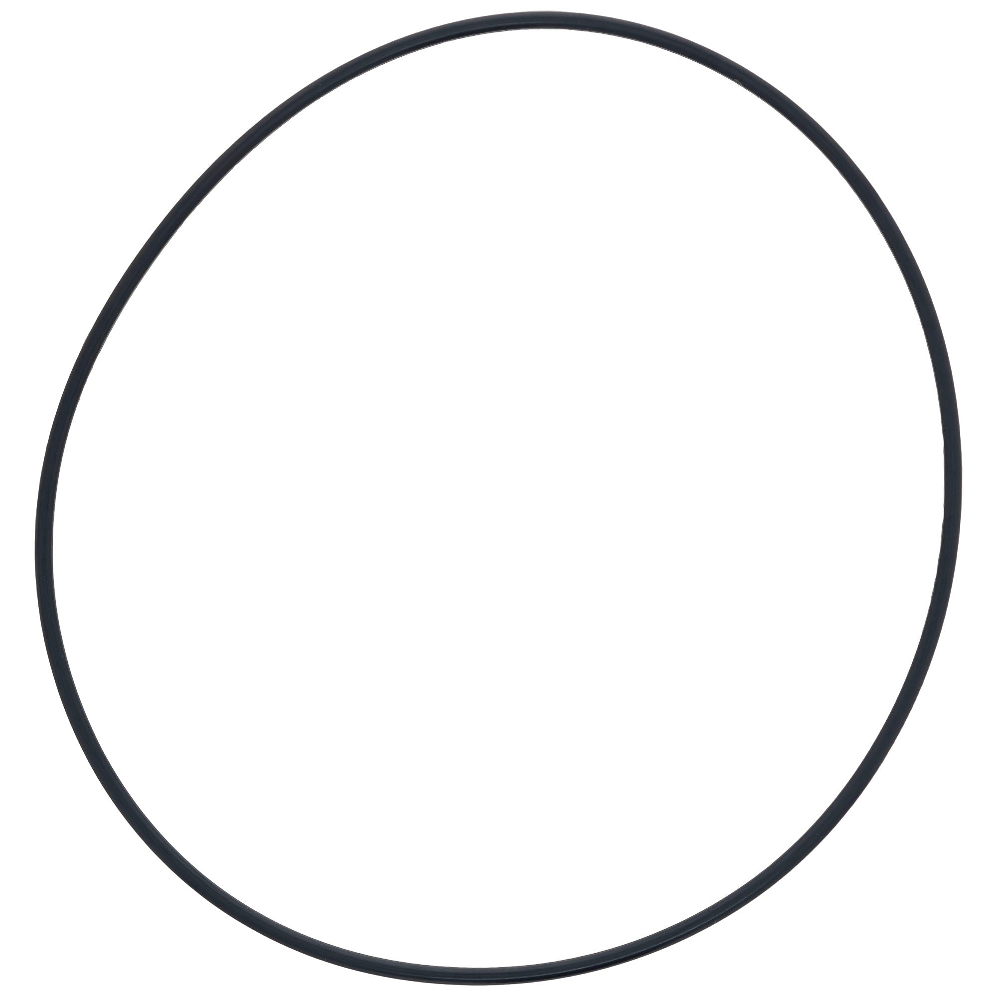 Polaris O-Ring 119 x 124 x 2.5 5415031