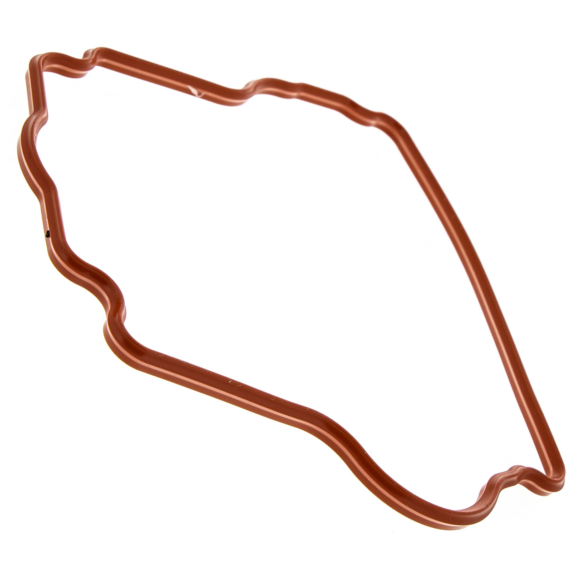 Polaris Valve Cover Seal 5415205