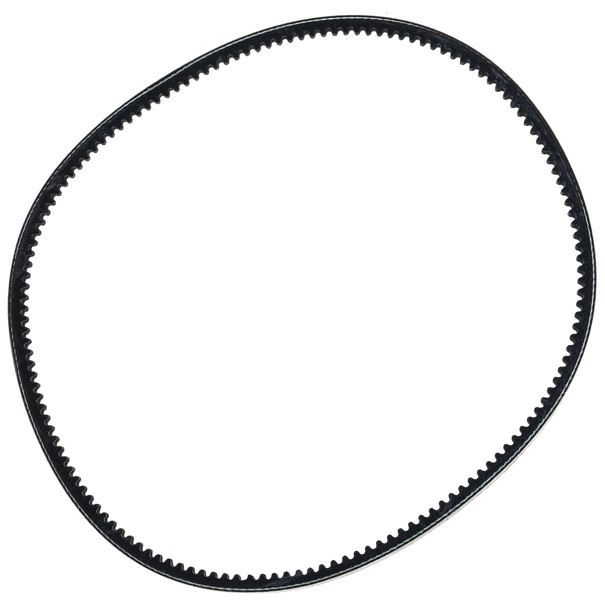 Polaris Alternator Belt 5416931