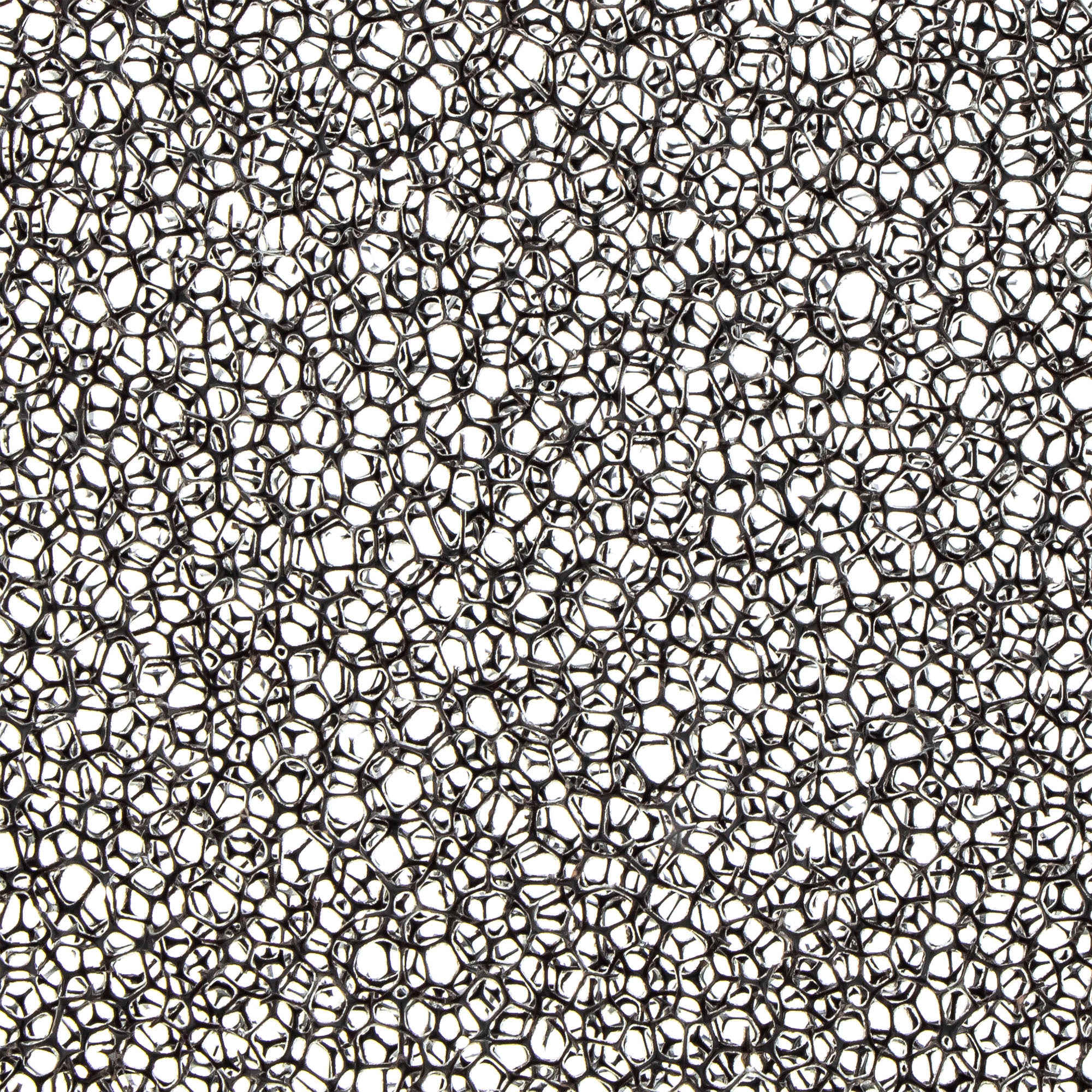 Polaris 1" Foam Inlet Filter 5813675